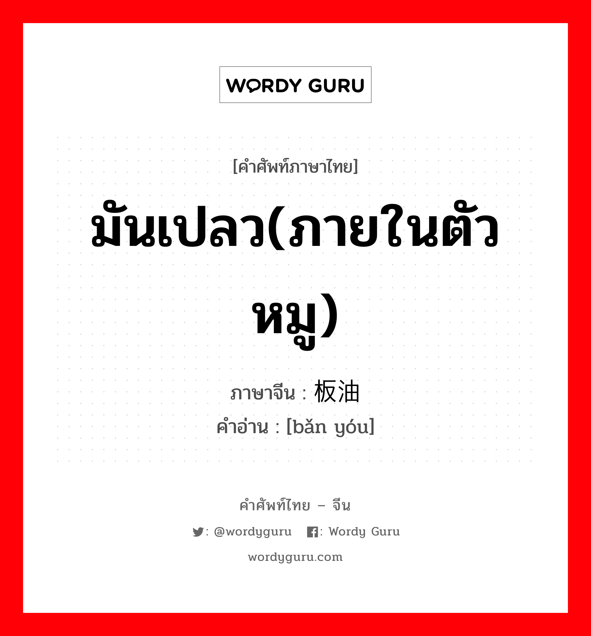 มันเปลว(ภายในตัวหมู) ภาษาจีนคืออะไร, คำศัพท์ภาษาไทย - จีน มันเปลว(ภายในตัวหมู) ภาษาจีน 板油 คำอ่าน [bǎn yóu]