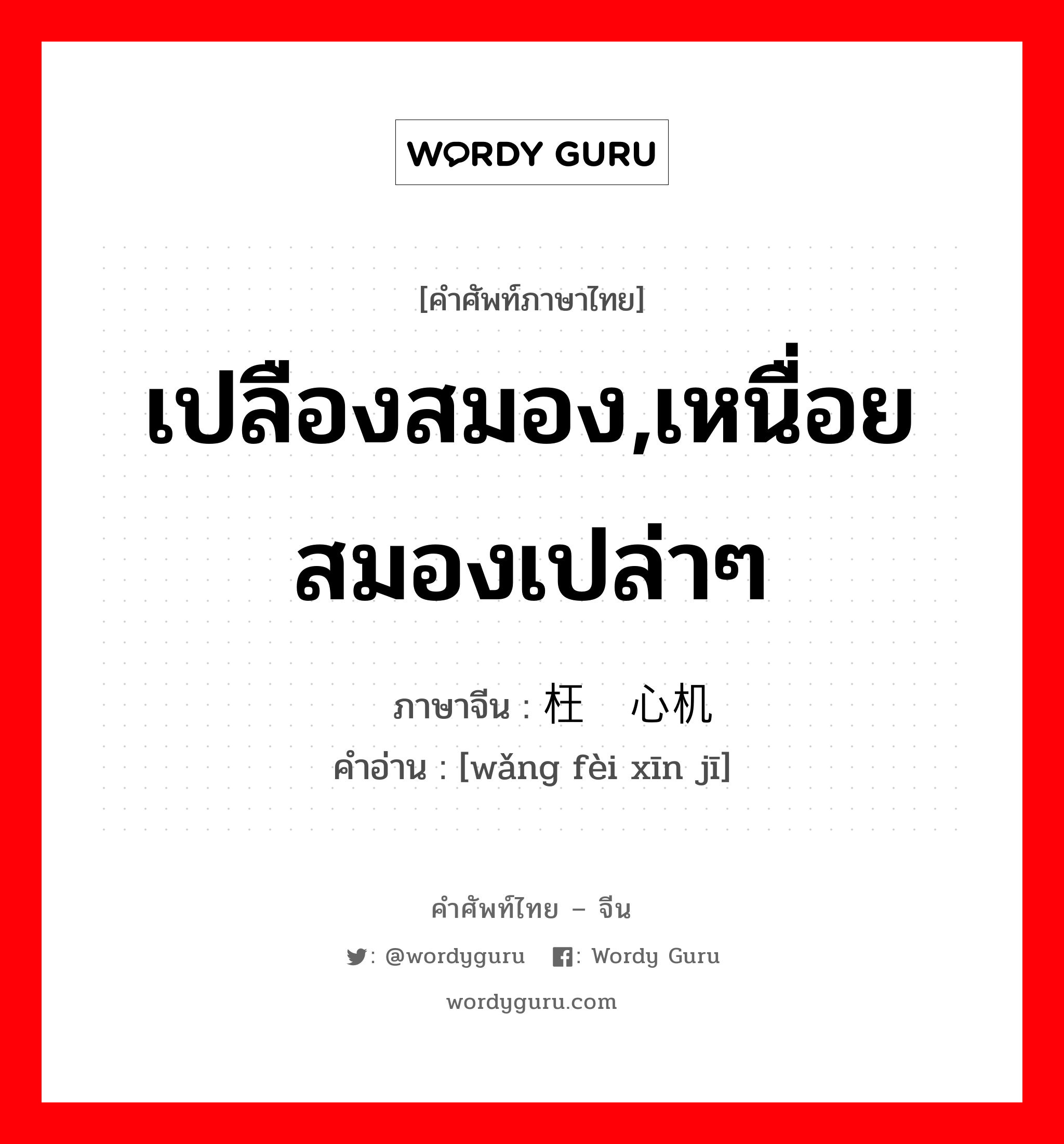 เปลืองสมอง,เหนื่อยสมองเปล่าๆ ภาษาจีนคืออะไร, คำศัพท์ภาษาไทย - จีน เปลืองสมอง,เหนื่อยสมองเปล่าๆ ภาษาจีน 枉费心机 คำอ่าน [wǎng fèi xīn jī]