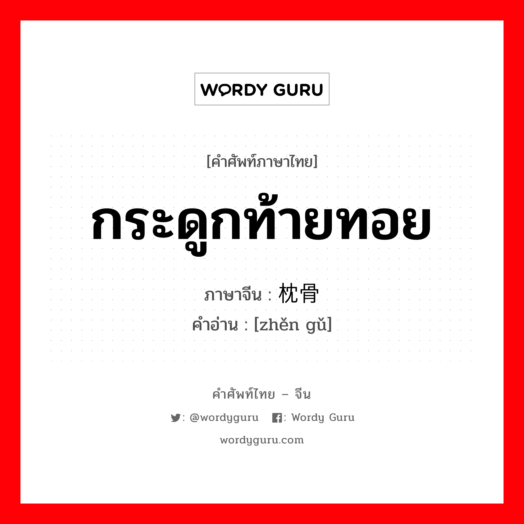 กระดูกท้ายทอย ภาษาจีนคืออะไร, คำศัพท์ภาษาไทย - จีน กระดูกท้ายทอย ภาษาจีน 枕骨 คำอ่าน [zhěn gǔ]