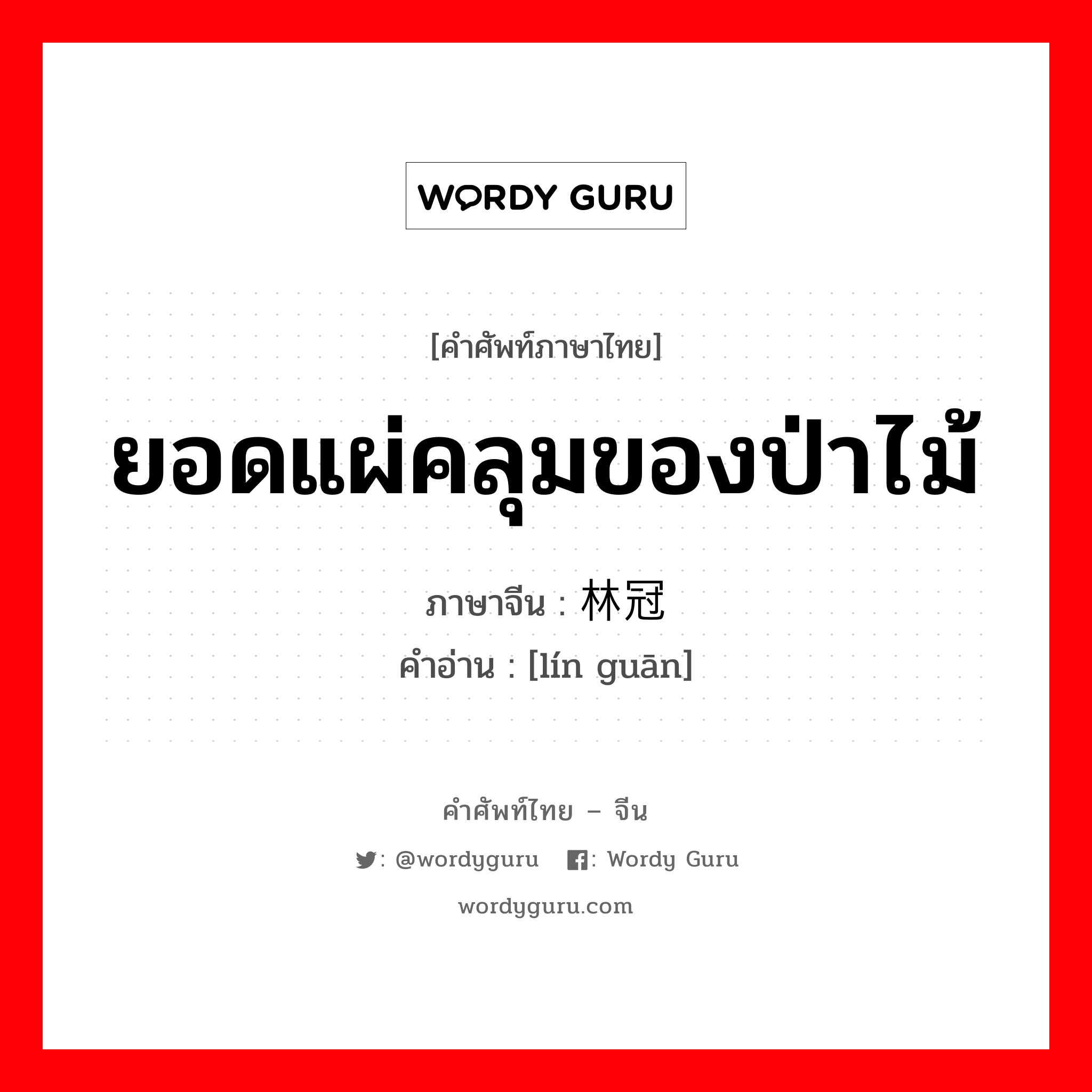 ยอดแผ่คลุมของป่าไม้ ภาษาจีนคืออะไร, คำศัพท์ภาษาไทย - จีน ยอดแผ่คลุมของป่าไม้ ภาษาจีน 林冠 คำอ่าน [lín guān]