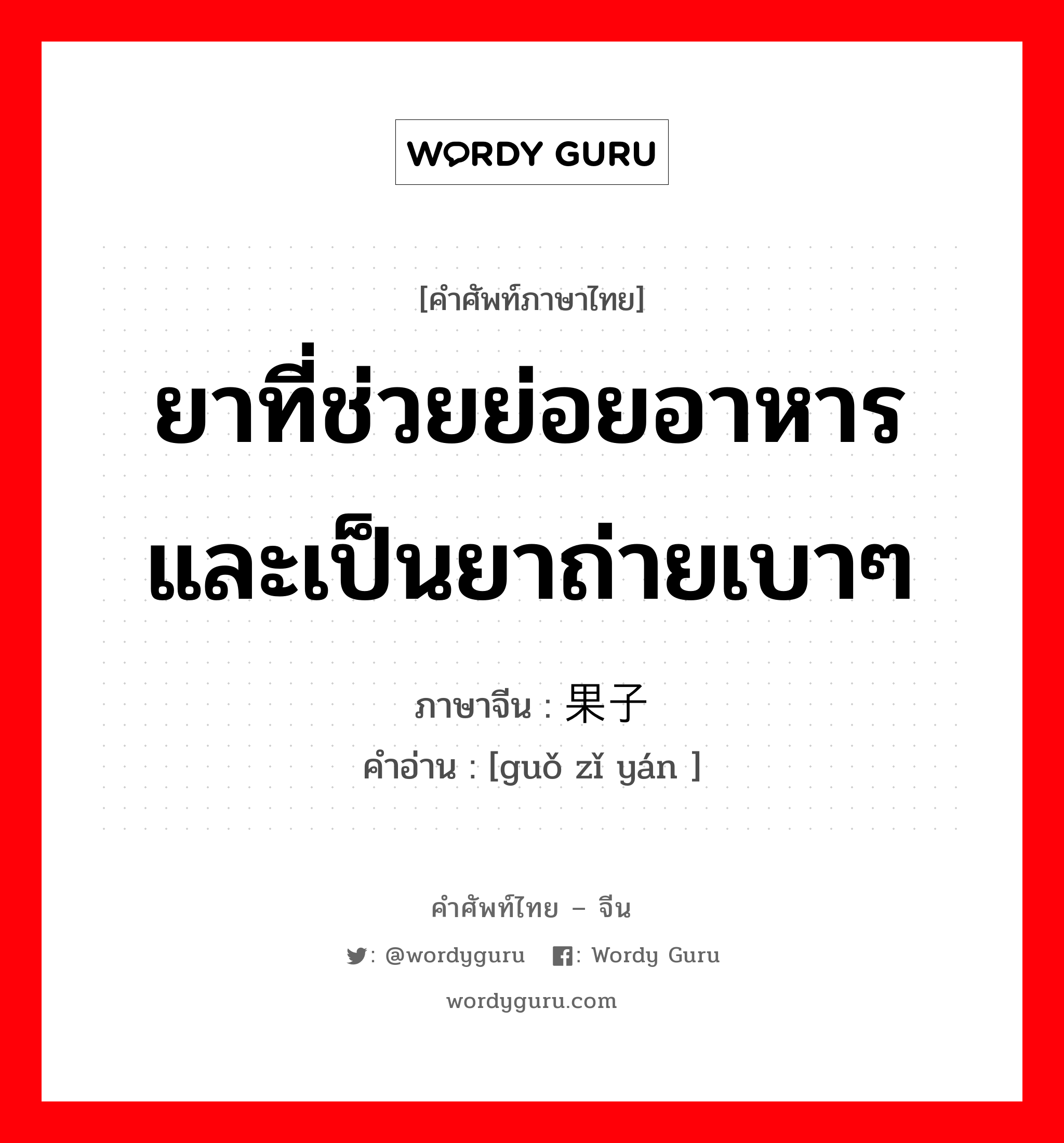 ยาที่ช่วยย่อยอาหารและเป็นยาถ่ายเบาๆ ภาษาจีนคืออะไร, คำศัพท์ภาษาไทย - จีน ยาที่ช่วยย่อยอาหารและเป็นยาถ่ายเบาๆ ภาษาจีน 果子盐 คำอ่าน [guǒ zǐ yán ]