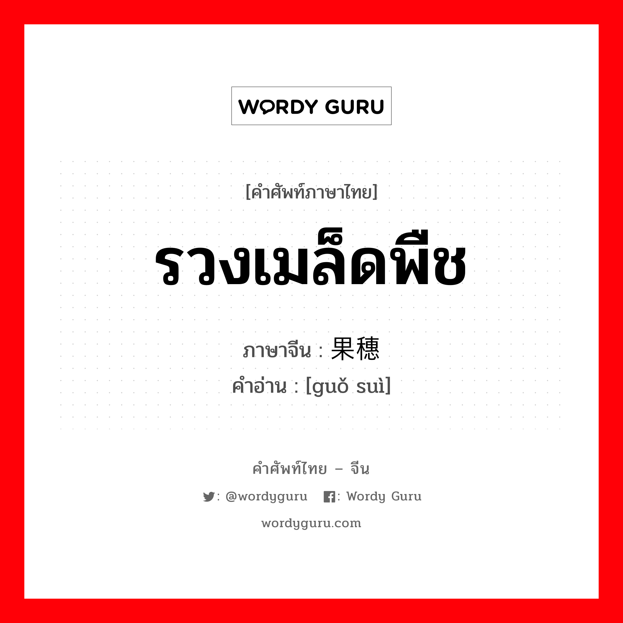 รวงเมล็ดพืช ภาษาจีนคืออะไร, คำศัพท์ภาษาไทย - จีน รวงเมล็ดพืช ภาษาจีน 果穗 คำอ่าน [guǒ suì]