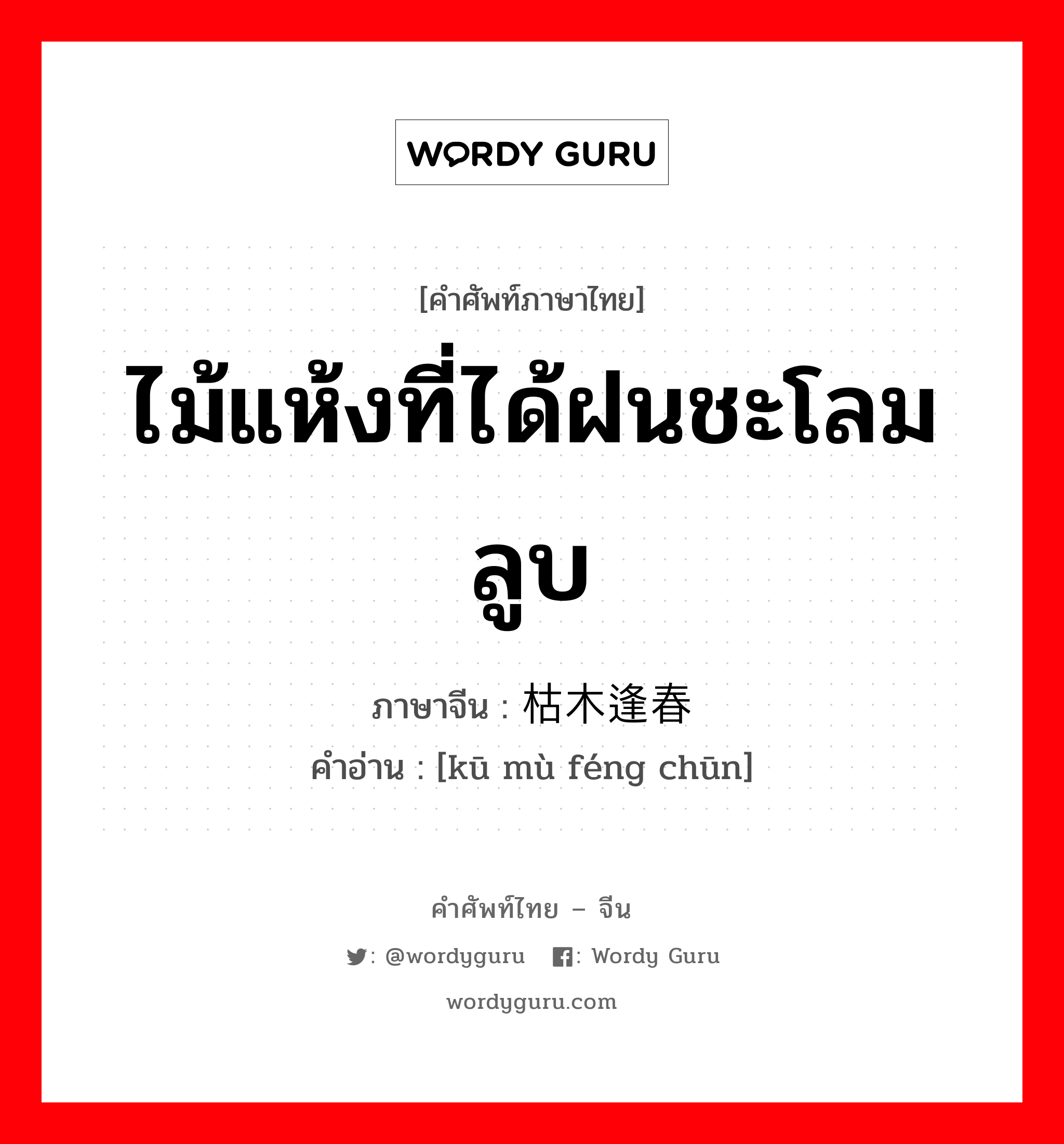 ไม้แห้งที่ได้ฝนชะโลมลูบ ภาษาจีนคืออะไร, คำศัพท์ภาษาไทย - จีน ไม้แห้งที่ได้ฝนชะโลมลูบ ภาษาจีน 枯木逢春 คำอ่าน [kū mù féng chūn]