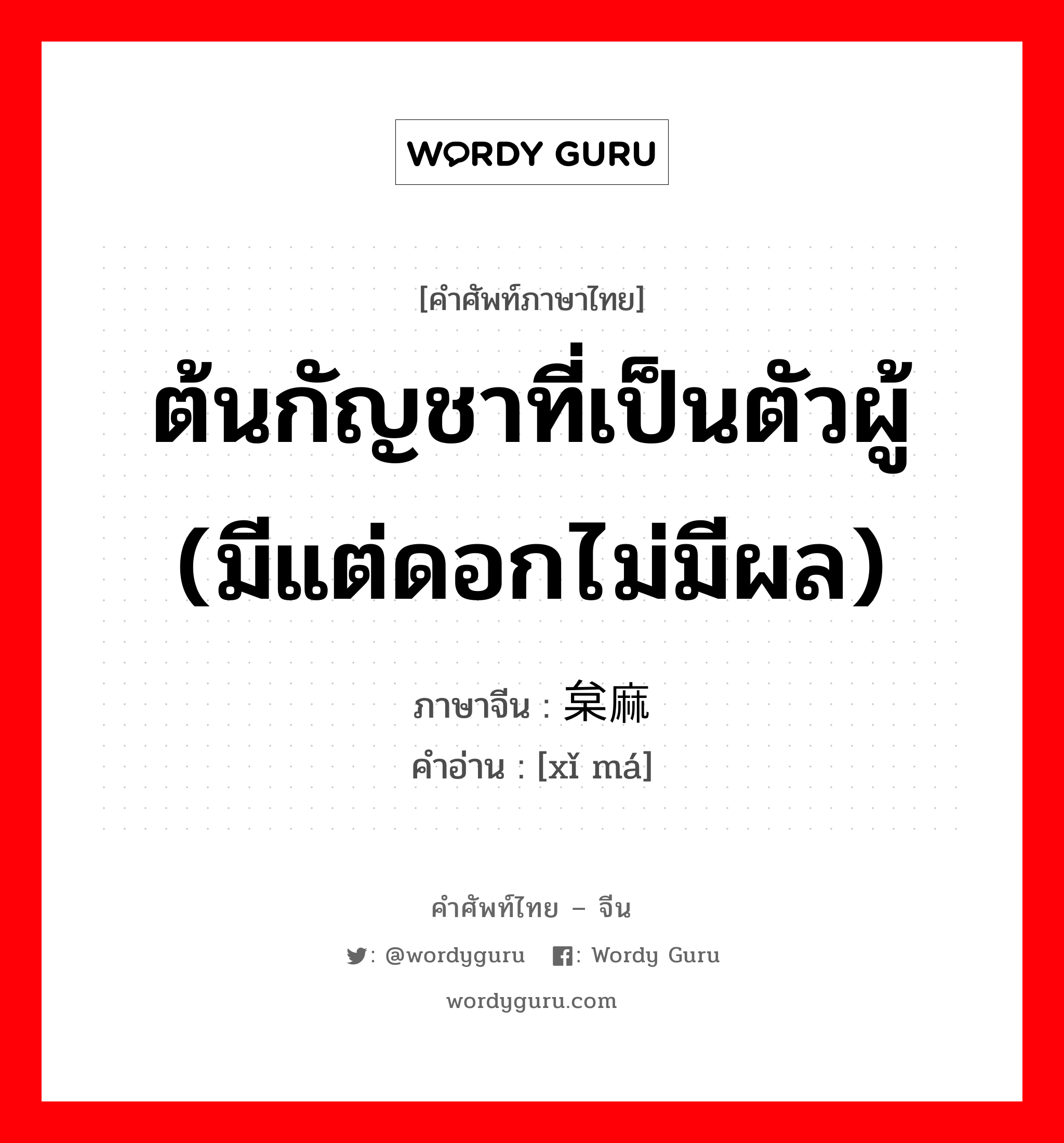 ต้นกัญชาที่เป็นตัวผู้ (มีแต่ดอกไม่มีผล) ภาษาจีนคืออะไร, คำศัพท์ภาษาไทย - จีน ต้นกัญชาที่เป็นตัวผู้ (มีแต่ดอกไม่มีผล) ภาษาจีน 枲麻 คำอ่าน [xǐ má]