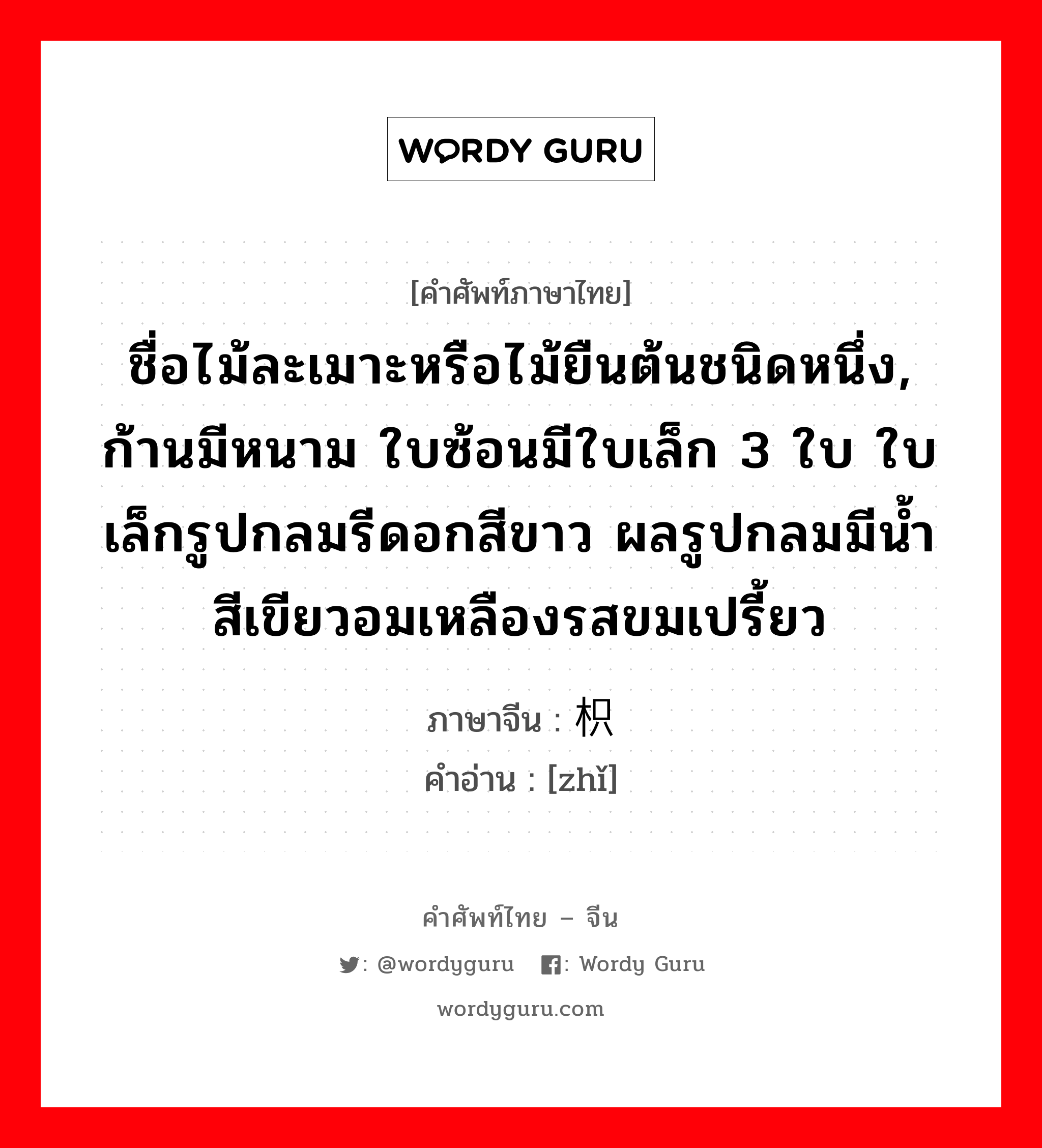 ชื่อไม้ละเมาะหรือไม้ยืนต้นชนิดหนึ่ง, ก้านมีหนาม ใบซ้อนมีใบเล็ก 3 ใบ ใบเล็กรูปกลมรีดอกสีขาว ผลรูปกลมมีน้ำ สีเขียวอมเหลืองรสขมเปรี้ยว ภาษาจีนคืออะไร, คำศัพท์ภาษาไทย - จีน ชื่อไม้ละเมาะหรือไม้ยืนต้นชนิดหนึ่ง, ก้านมีหนาม ใบซ้อนมีใบเล็ก 3 ใบ ใบเล็กรูปกลมรีดอกสีขาว ผลรูปกลมมีน้ำ สีเขียวอมเหลืองรสขมเปรี้ยว ภาษาจีน 枳 คำอ่าน [zhǐ]