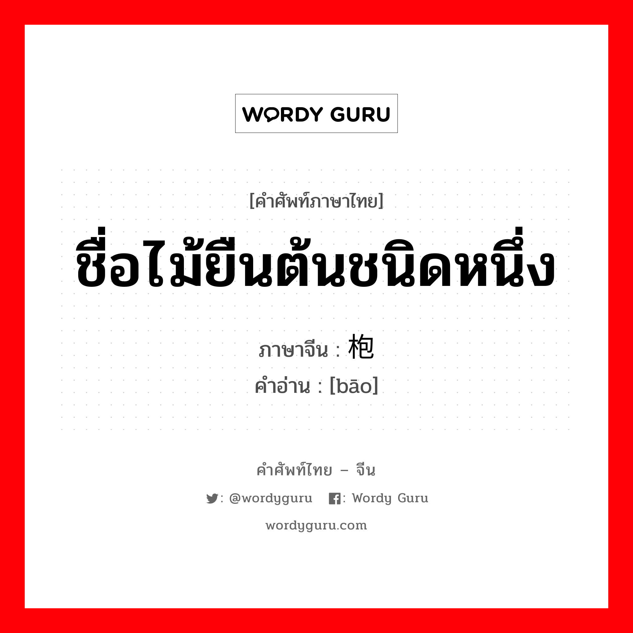 ชื่อไม้ยืนต้นชนิดหนึ่ง ภาษาจีนคืออะไร, คำศัพท์ภาษาไทย - จีน ชื่อไม้ยืนต้นชนิดหนึ่ง ภาษาจีน 枹 คำอ่าน [bāo]