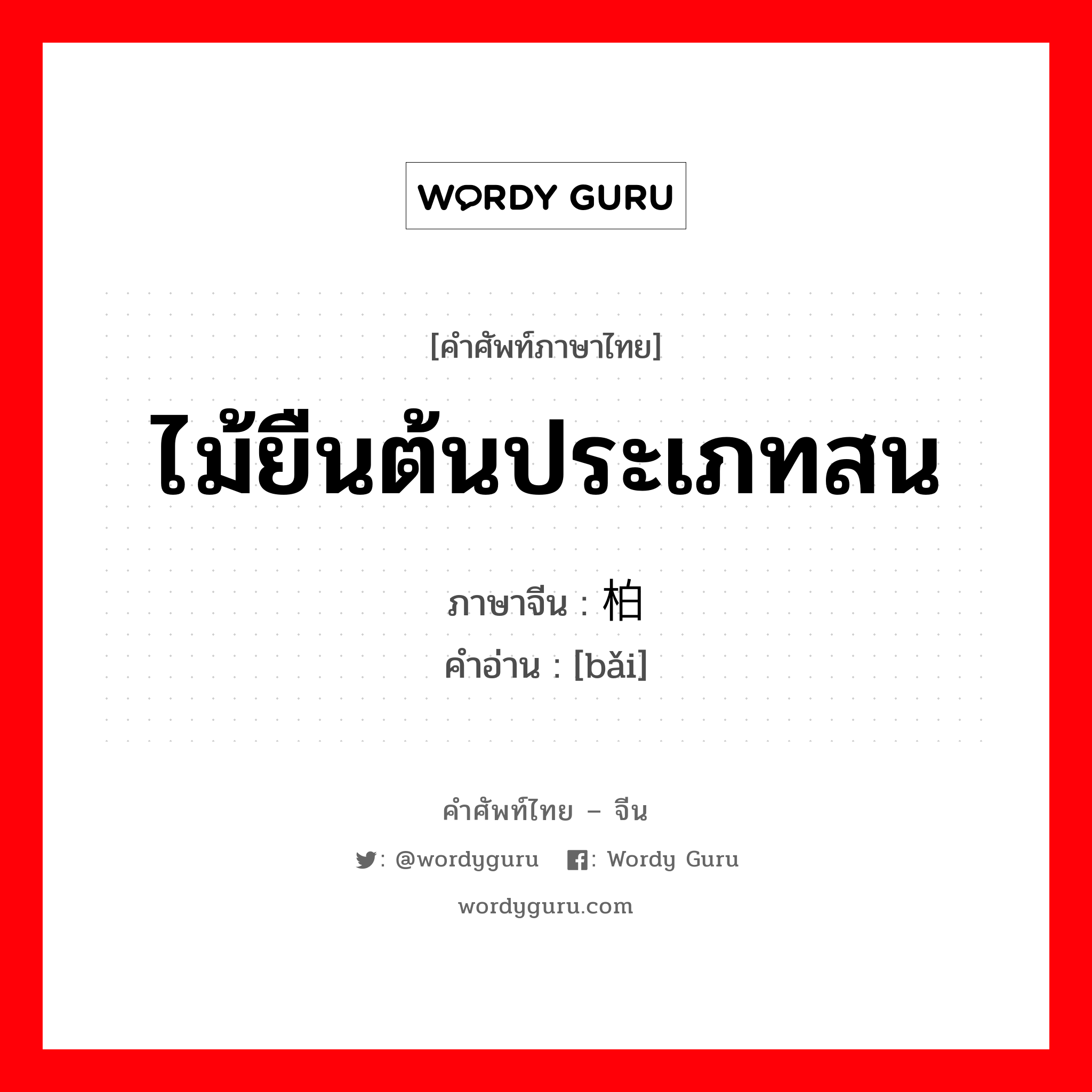 ไม้ยืนต้นประเภทสน ภาษาจีนคืออะไร, คำศัพท์ภาษาไทย - จีน ไม้ยืนต้นประเภทสน ภาษาจีน 柏 คำอ่าน [bǎi]