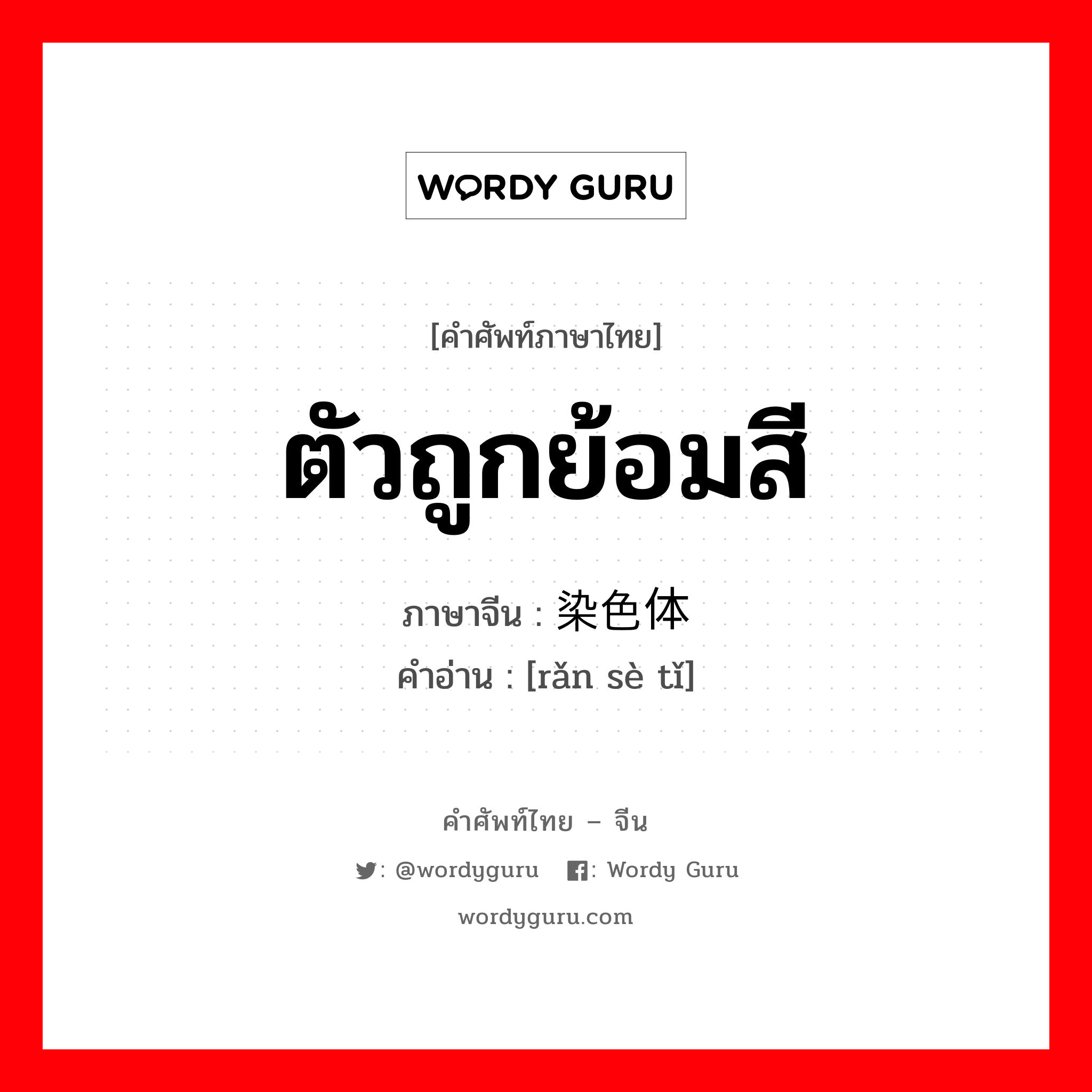 ตัวถูกย้อมสี ภาษาจีนคืออะไร, คำศัพท์ภาษาไทย - จีน ตัวถูกย้อมสี ภาษาจีน 染色体 คำอ่าน [rǎn sè tǐ]