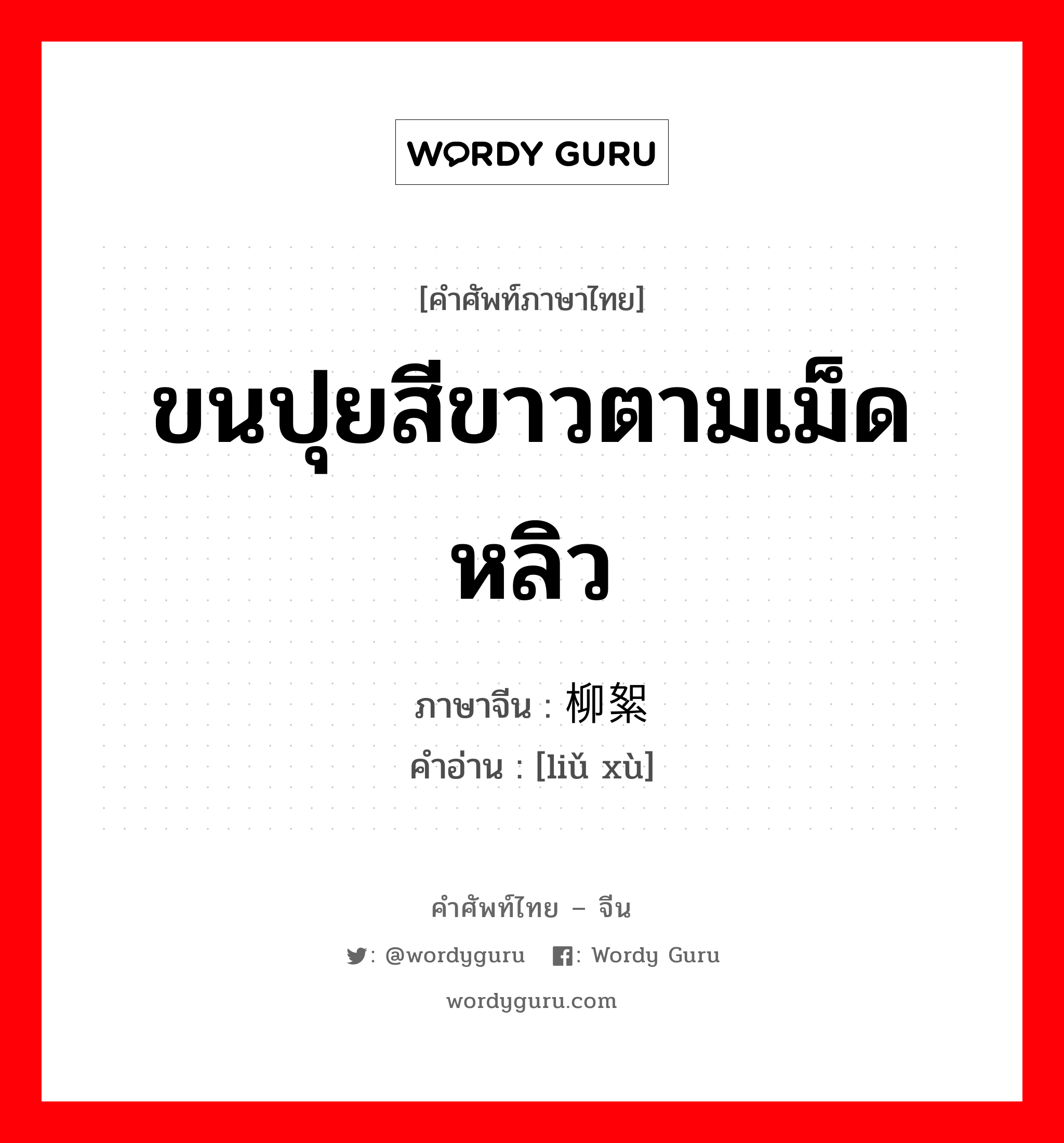 ขนปุยสีขาวตามเม็ดหลิว ภาษาจีนคืออะไร, คำศัพท์ภาษาไทย - จีน ขนปุยสีขาวตามเม็ดหลิว ภาษาจีน 柳絮 คำอ่าน [liǔ xù]