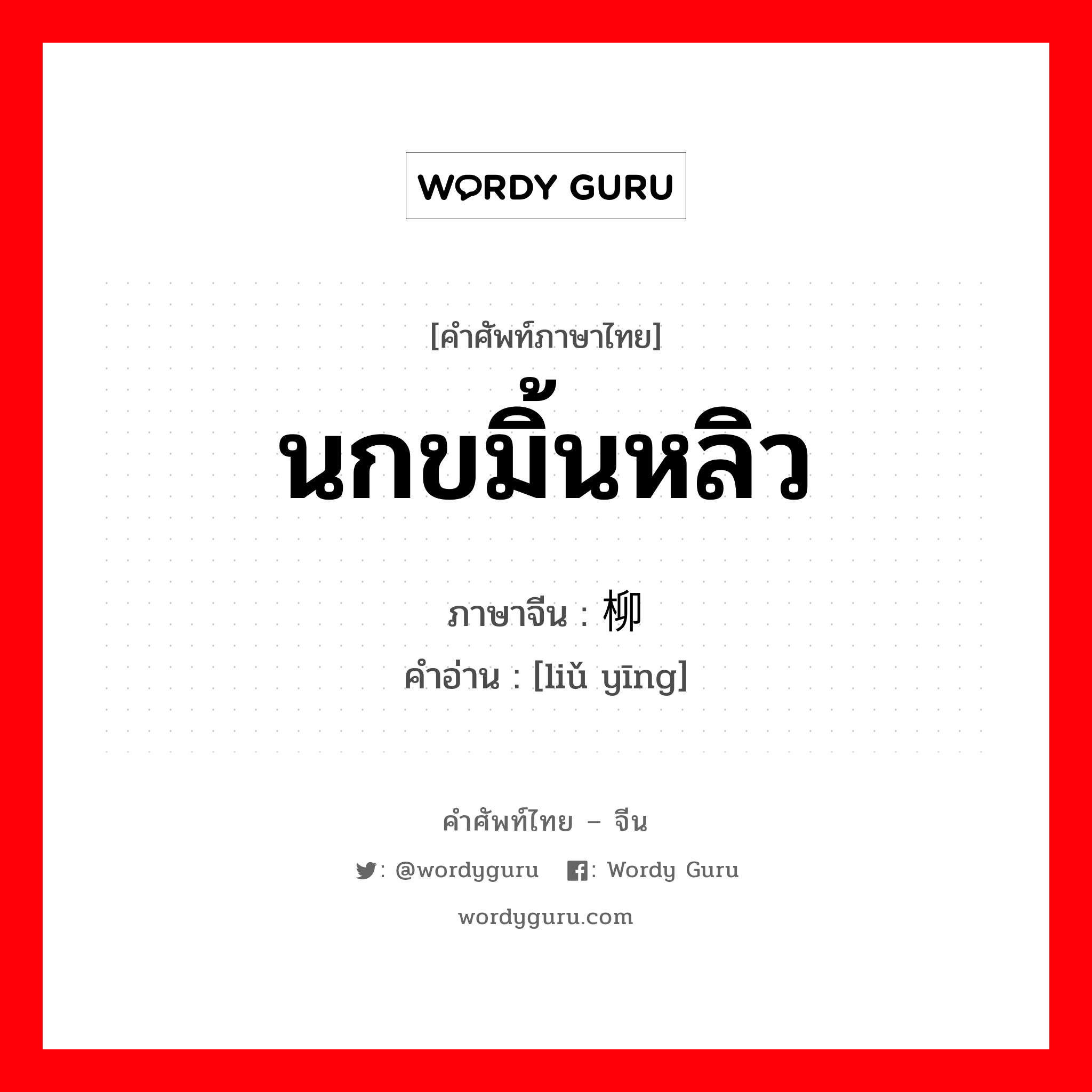 นกขมิ้นหลิว ภาษาจีนคืออะไร, คำศัพท์ภาษาไทย - จีน นกขมิ้นหลิว ภาษาจีน 柳莺 คำอ่าน [liǔ yīng]