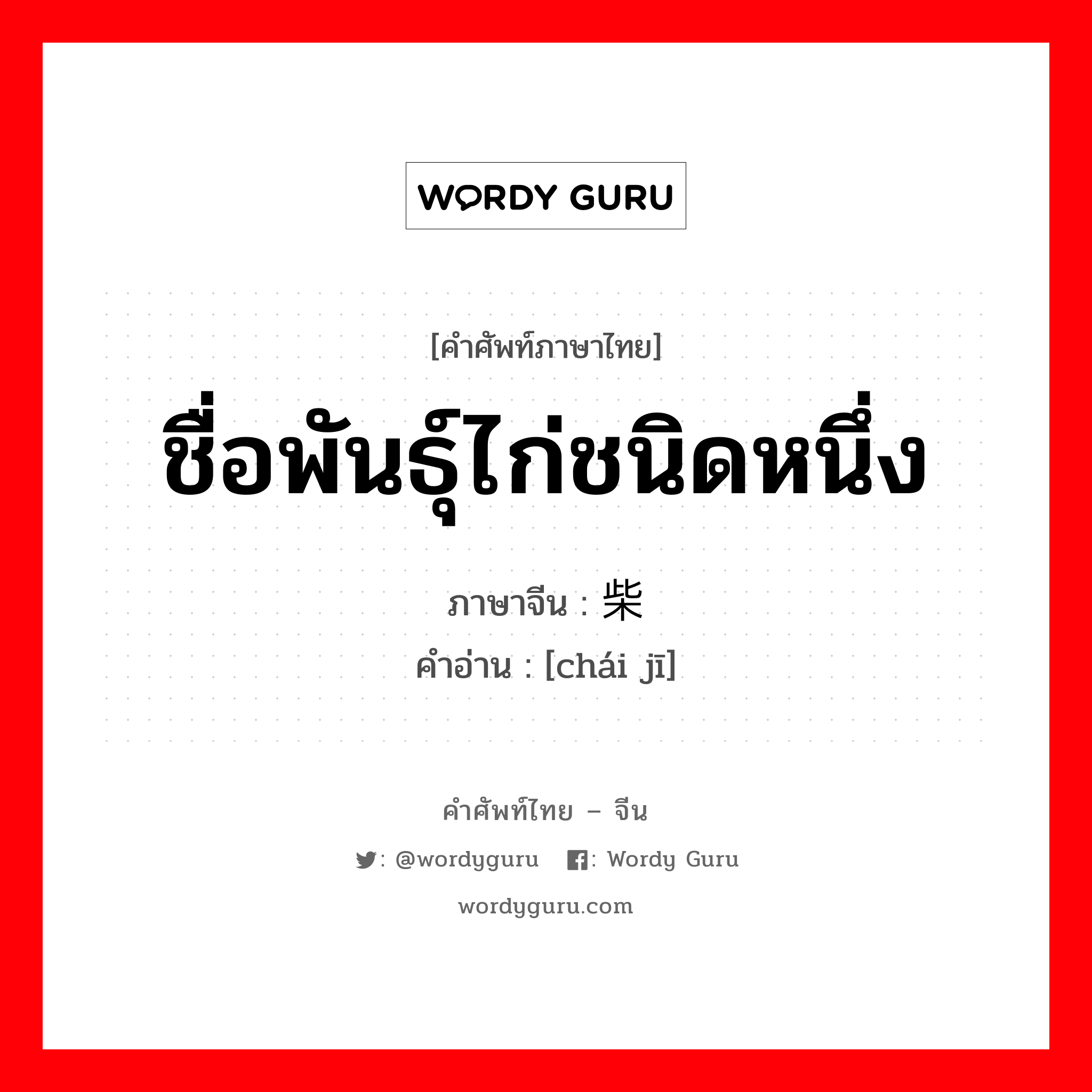 ชื่อพันธุ์ไก่ชนิดหนึ่ง ภาษาจีนคืออะไร, คำศัพท์ภาษาไทย - จีน ชื่อพันธุ์ไก่ชนิดหนึ่ง ภาษาจีน 柴鸡 คำอ่าน [chái jī]