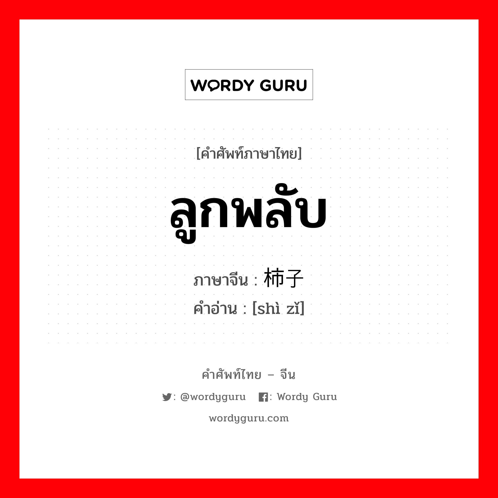 ลูกพลับ ภาษาจีนคืออะไร, คำศัพท์ภาษาไทย - จีน ลูกพลับ ภาษาจีน 柿子 คำอ่าน [shì zǐ]