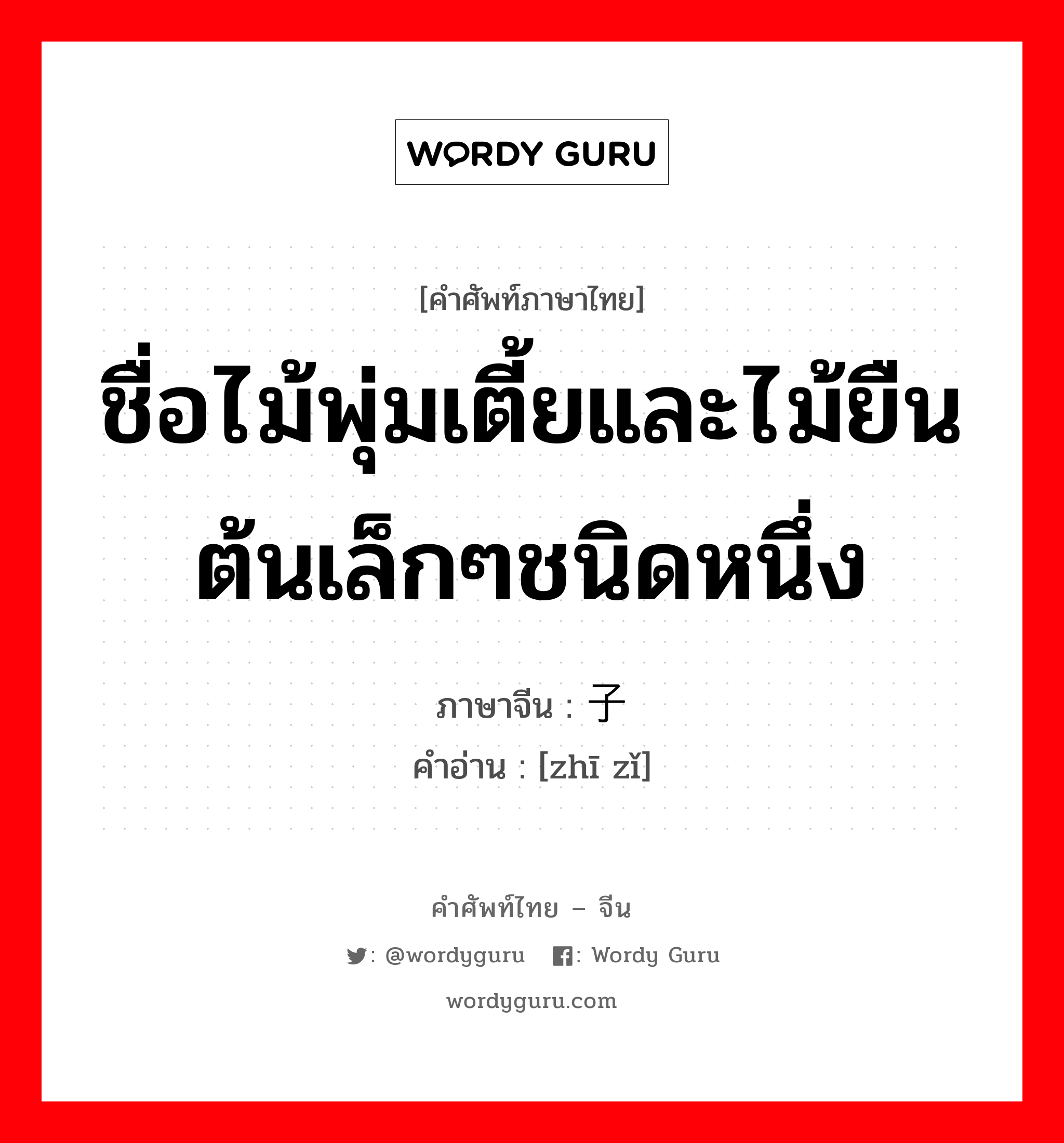 ชื่อไม้พุ่มเตี้ยและไม้ยืนต้นเล็กๆชนิดหนึ่ง ภาษาจีนคืออะไร, คำศัพท์ภาษาไทย - จีน ชื่อไม้พุ่มเตี้ยและไม้ยืนต้นเล็กๆชนิดหนึ่ง ภาษาจีน 栀子 คำอ่าน [zhī zǐ]