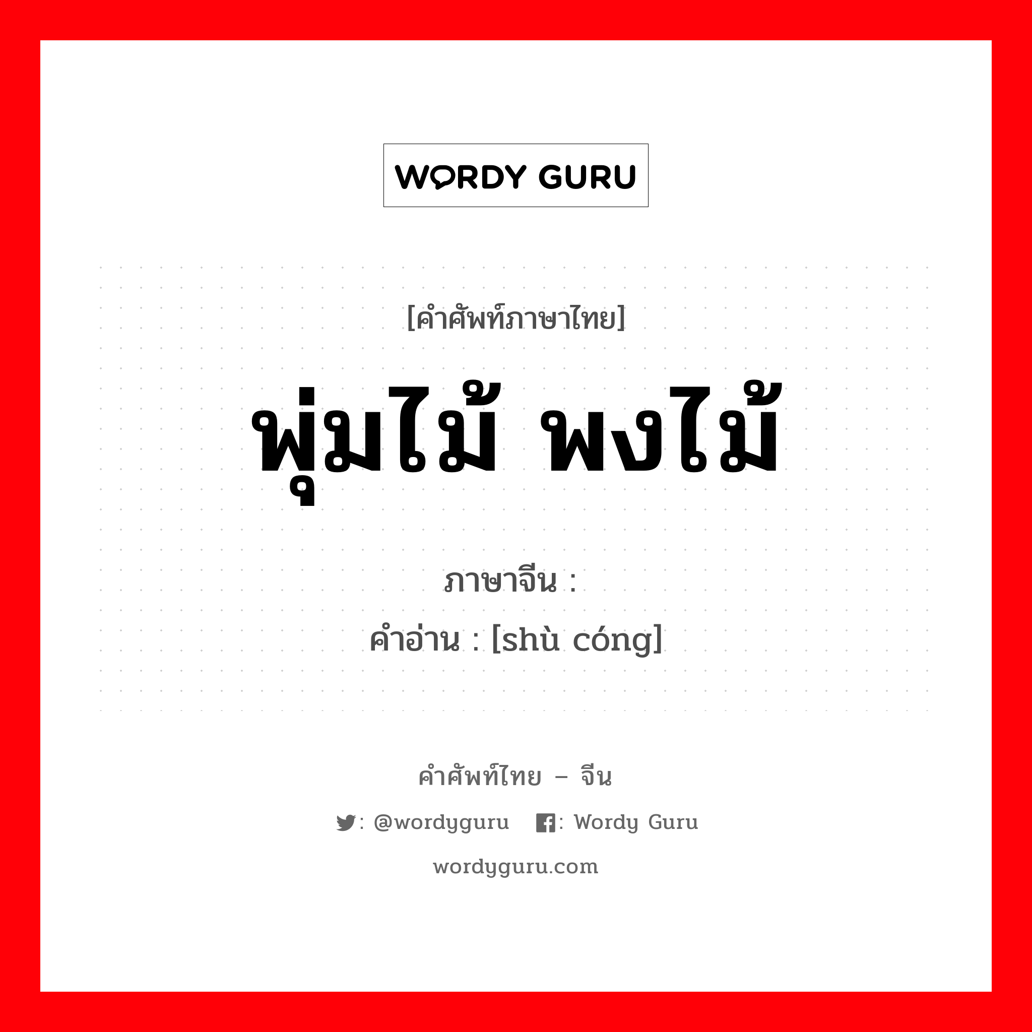 พุ่มไม้ พงไม้ ภาษาจีนคืออะไร, คำศัพท์ภาษาไทย - จีน พุ่มไม้ พงไม้ ภาษาจีน 树丛 คำอ่าน [shù cóng]