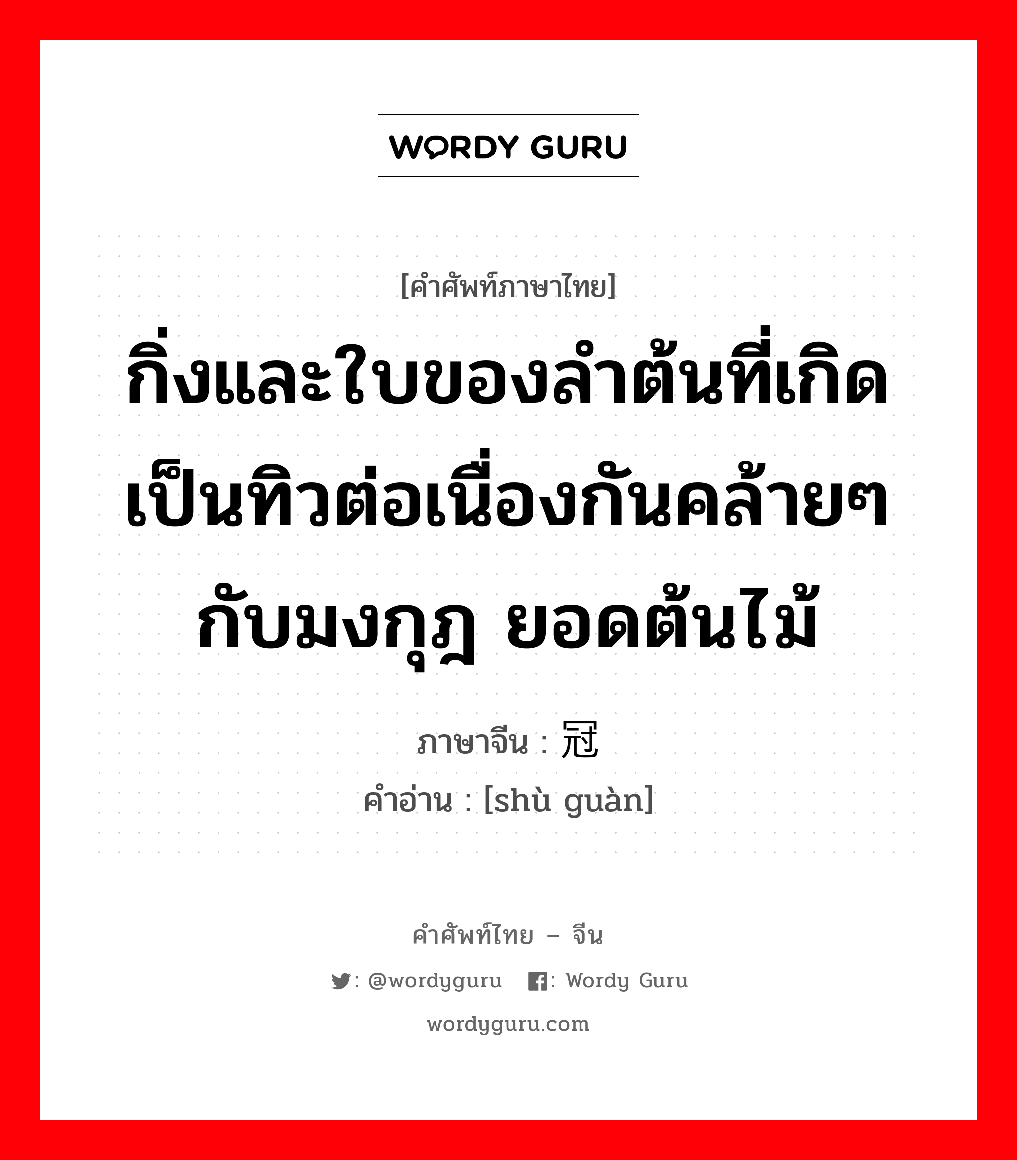 กิ่งและใบของลำต้นที่เกิดเป็นทิวต่อเนื่องกันคล้ายๆกับมงกุฎ ยอดต้นไม้ ภาษาจีนคืออะไร, คำศัพท์ภาษาไทย - จีน กิ่งและใบของลำต้นที่เกิดเป็นทิวต่อเนื่องกันคล้ายๆกับมงกุฎ ยอดต้นไม้ ภาษาจีน 树冠 คำอ่าน [shù guàn]