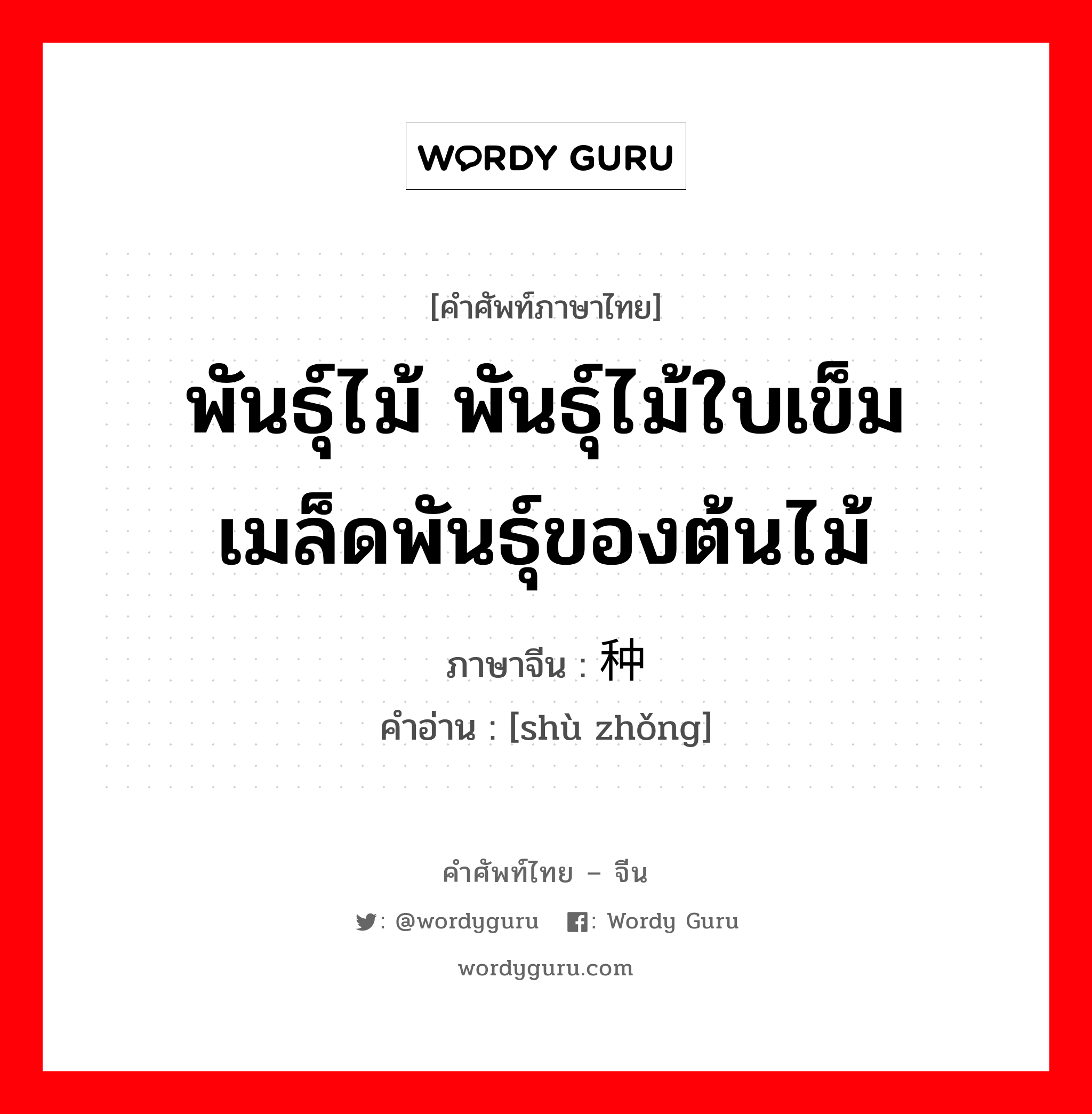 พันธุ์ไม้ พันธุ์ไม้ใบเข็ม เมล็ดพันธุ์ของต้นไม้ ภาษาจีนคืออะไร, คำศัพท์ภาษาไทย - จีน พันธุ์ไม้ พันธุ์ไม้ใบเข็ม เมล็ดพันธุ์ของต้นไม้ ภาษาจีน 树种 คำอ่าน [shù zhǒng]