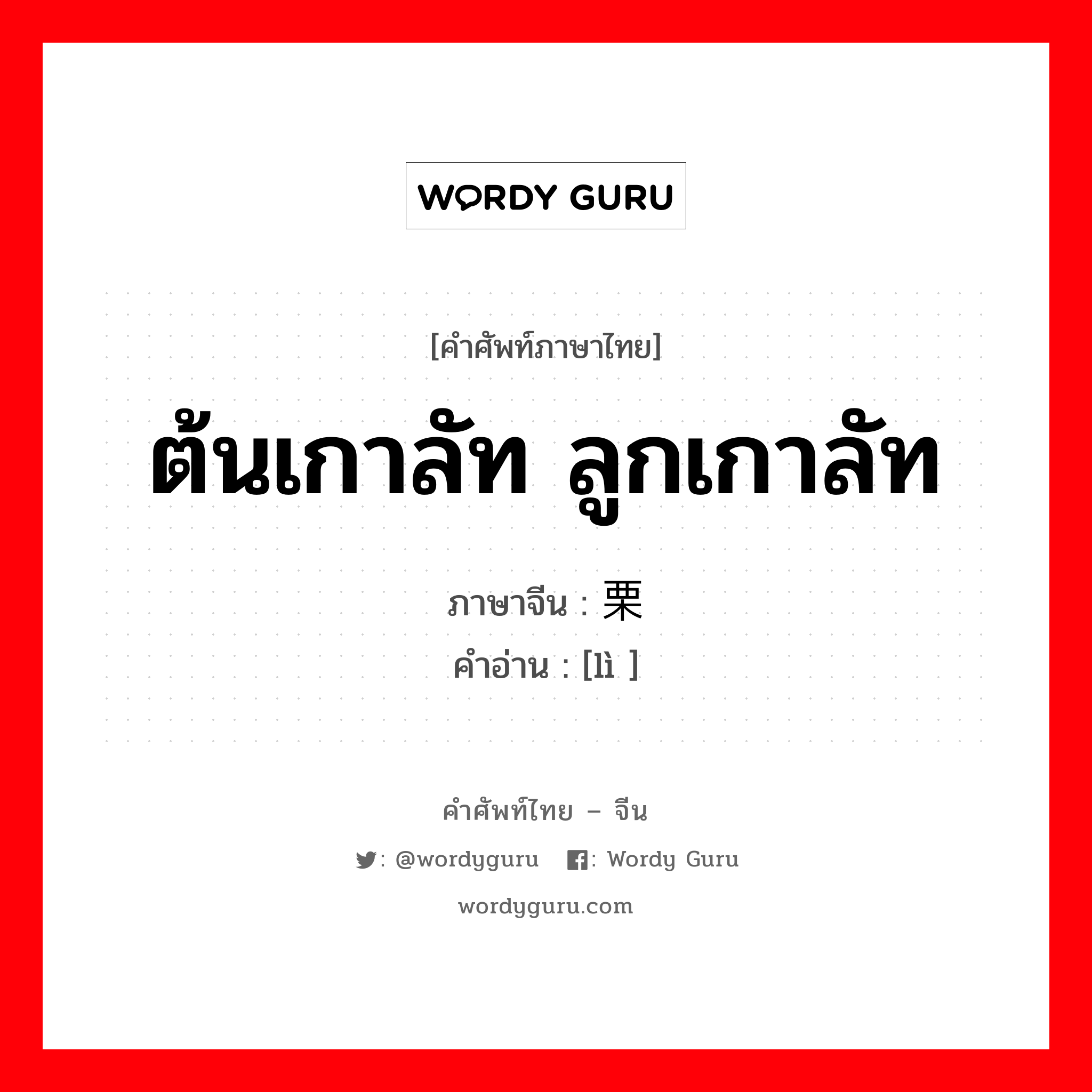 ต้นเกาลัท ลูกเกาลัท ภาษาจีนคืออะไร, คำศัพท์ภาษาไทย - จีน ต้นเกาลัท ลูกเกาลัท ภาษาจีน 栗 คำอ่าน [lì ]