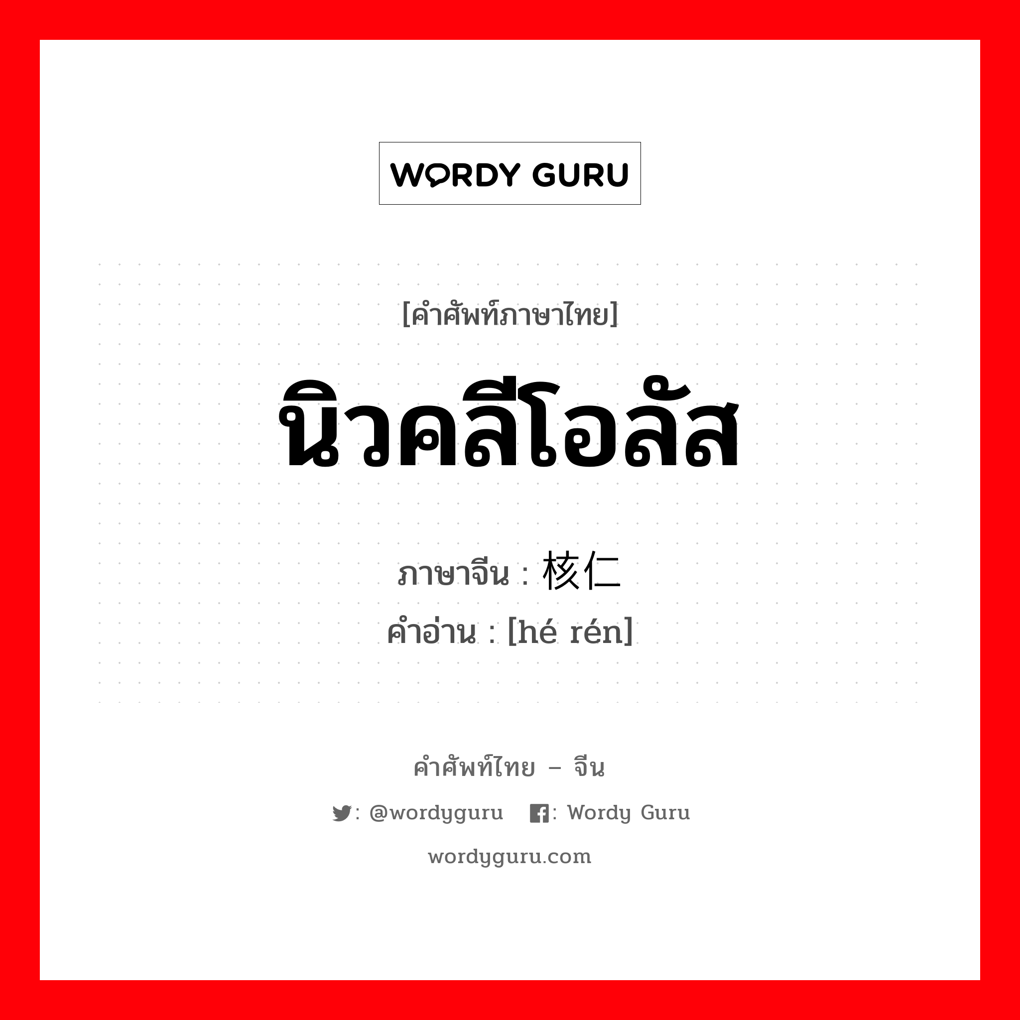 核仁 ภาษาไทย?, คำศัพท์ภาษาไทย - จีน 核仁 ภาษาจีน นิวคลีโอลัส คำอ่าน [hé rén]