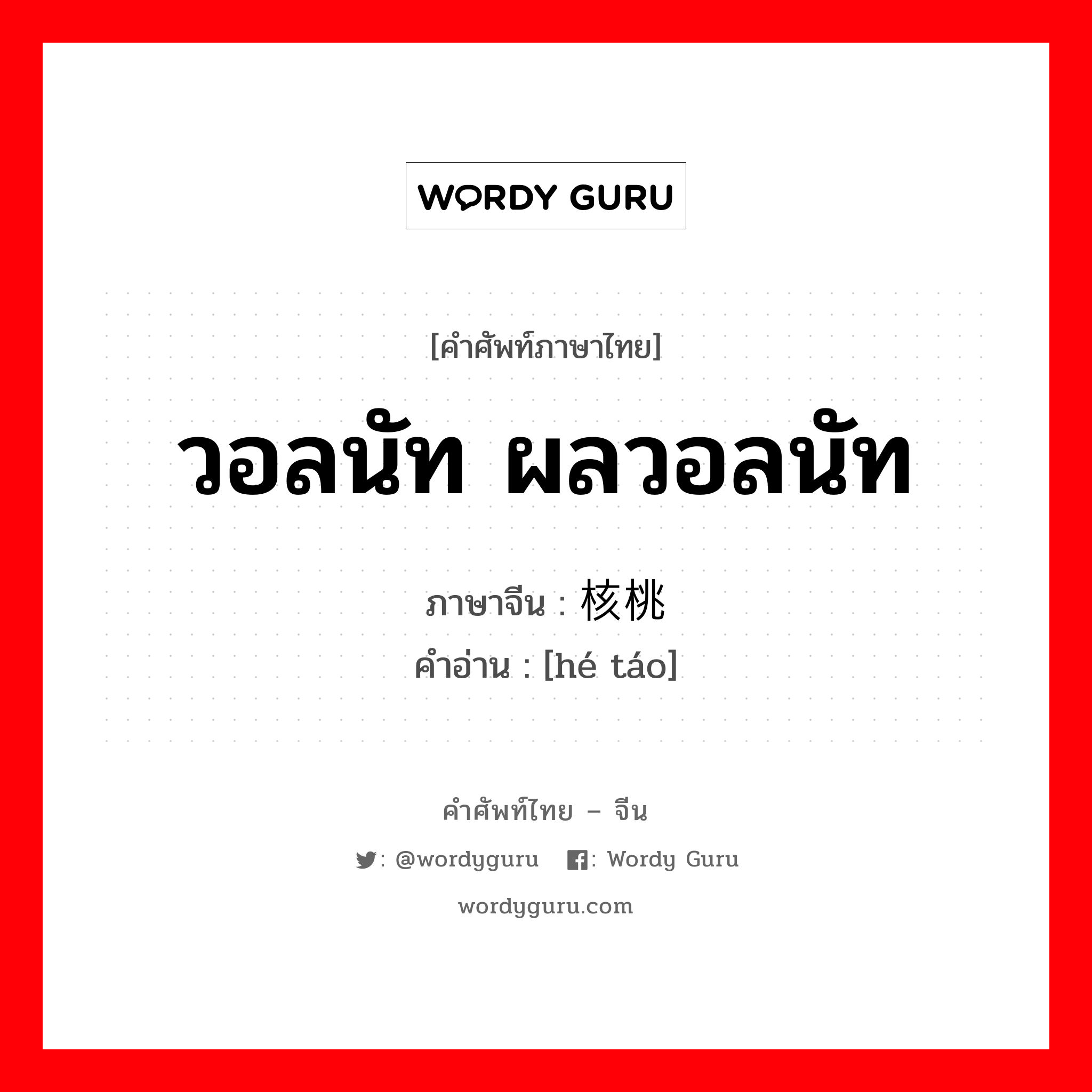 วอลนัท ผลวอลนัท ภาษาจีนคืออะไร, คำศัพท์ภาษาไทย - จีน วอลนัท ผลวอลนัท ภาษาจีน 核桃 คำอ่าน [hé táo]