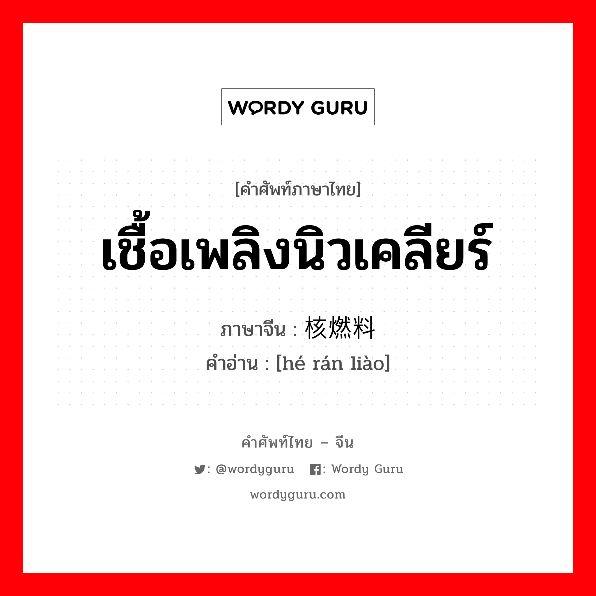 เชื้อเพลิงนิวเคลียร์ ภาษาจีนคืออะไร, คำศัพท์ภาษาไทย - จีน เชื้อเพลิงนิวเคลียร์ ภาษาจีน 核燃料 คำอ่าน [hé rán liào]