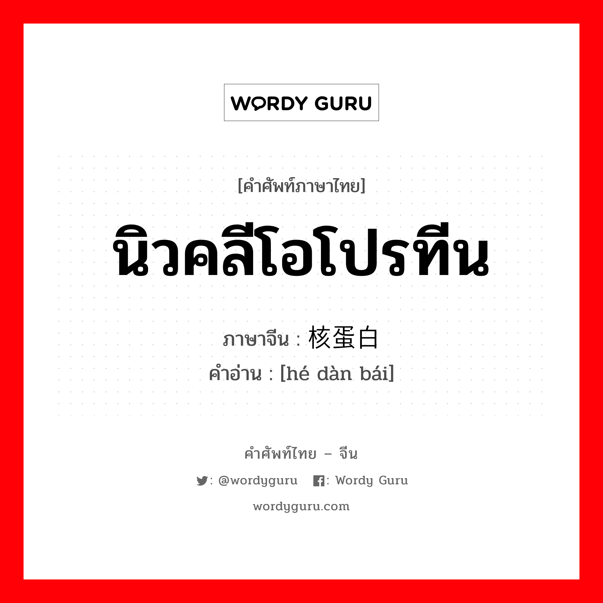 นิวคลีโอโปรทีน ภาษาจีนคืออะไร, คำศัพท์ภาษาไทย - จีน นิวคลีโอโปรทีน ภาษาจีน 核蛋白 คำอ่าน [hé dàn bái]