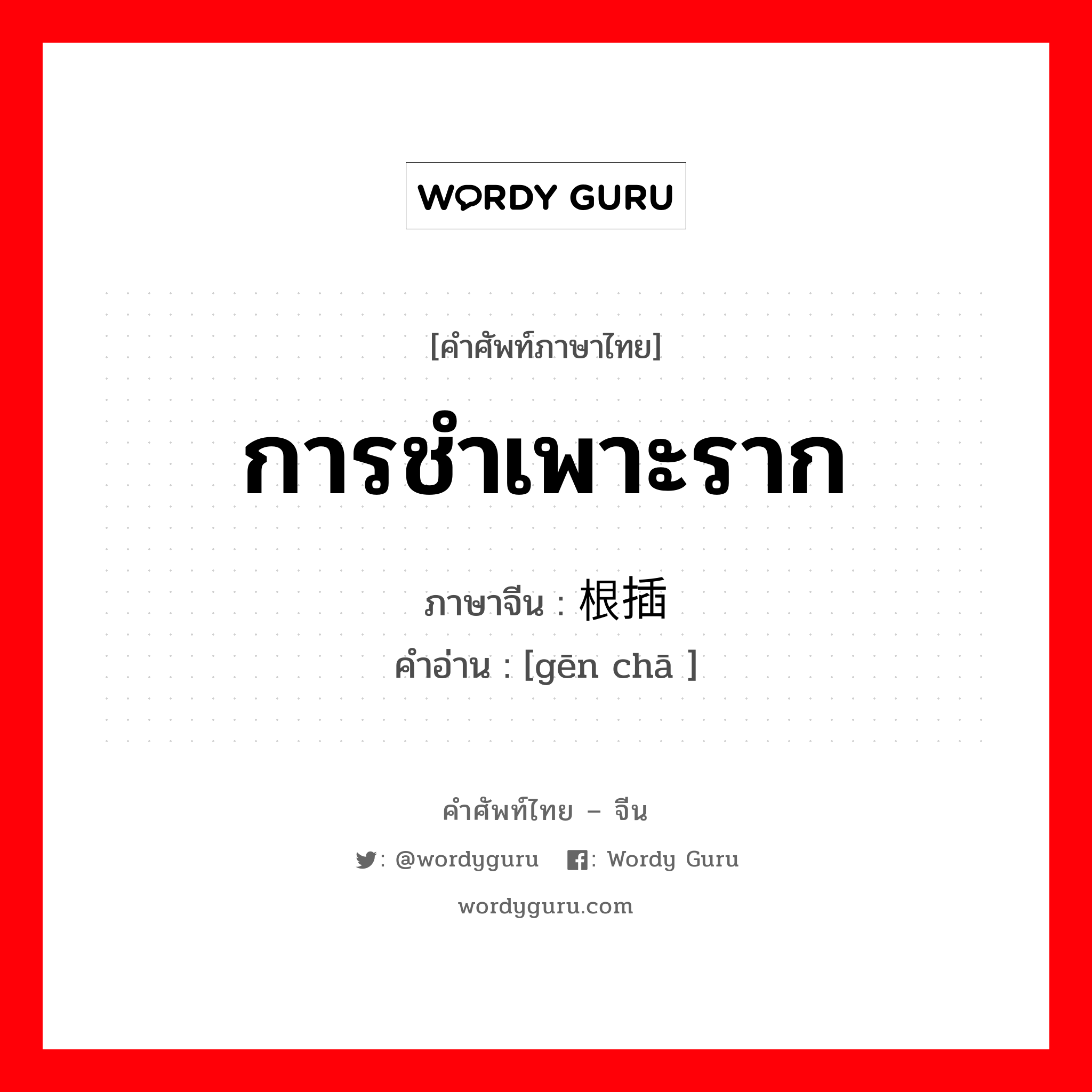 การชำเพาะราก ภาษาจีนคืออะไร, คำศัพท์ภาษาไทย - จีน การชำเพาะราก ภาษาจีน 根插 คำอ่าน [gēn chā ]