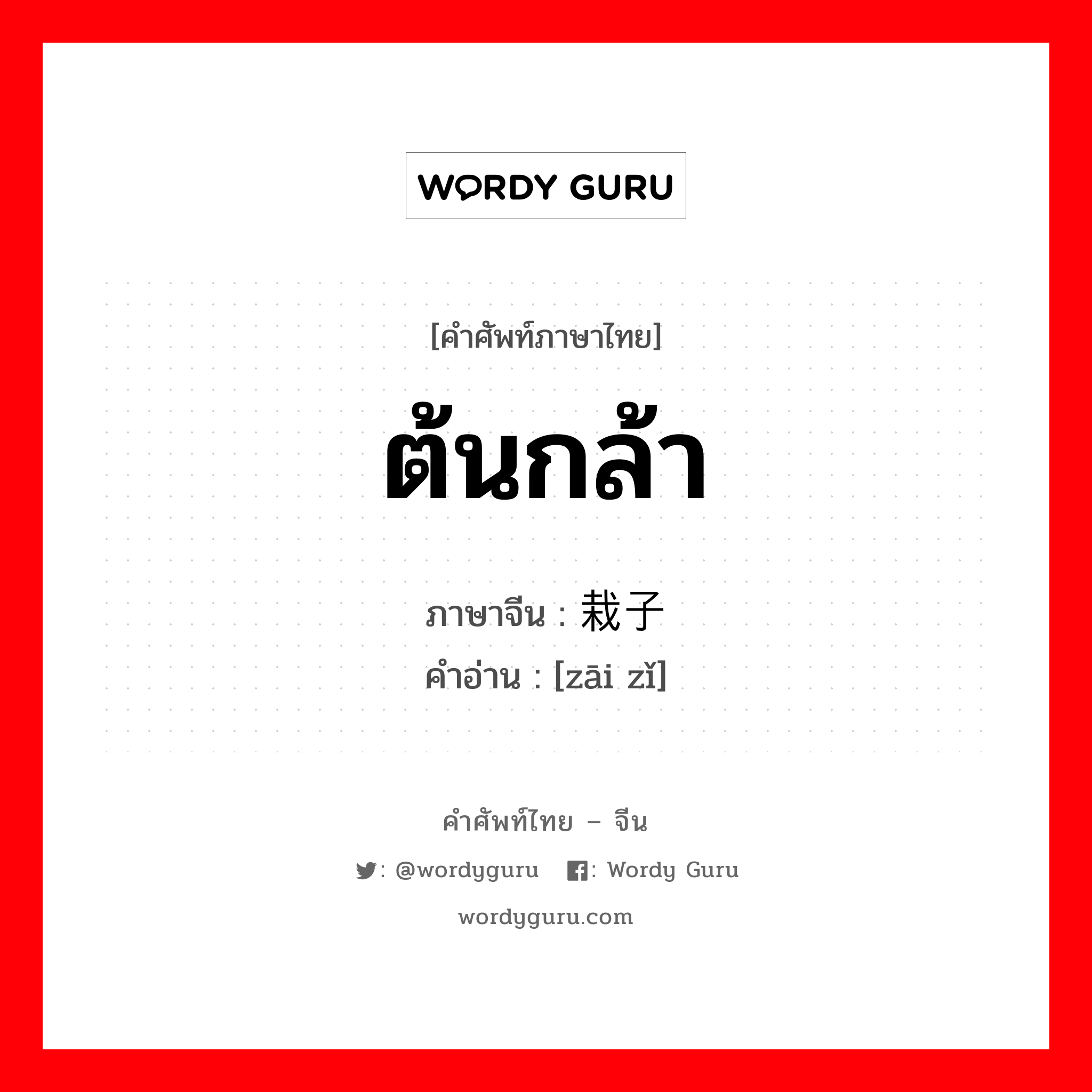 ต้นกล้า ภาษาจีนคืออะไร, คำศัพท์ภาษาไทย - จีน ต้นกล้า ภาษาจีน 栽子 คำอ่าน [zāi zǐ]