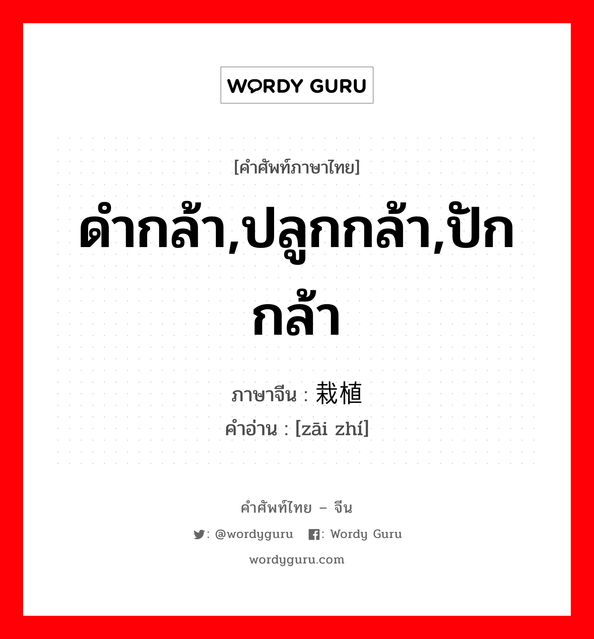 ดำกล้า,ปลูกกล้า,ปักกล้า ภาษาจีนคืออะไร, คำศัพท์ภาษาไทย - จีน ดำกล้า,ปลูกกล้า,ปักกล้า ภาษาจีน 栽植 คำอ่าน [zāi zhí]