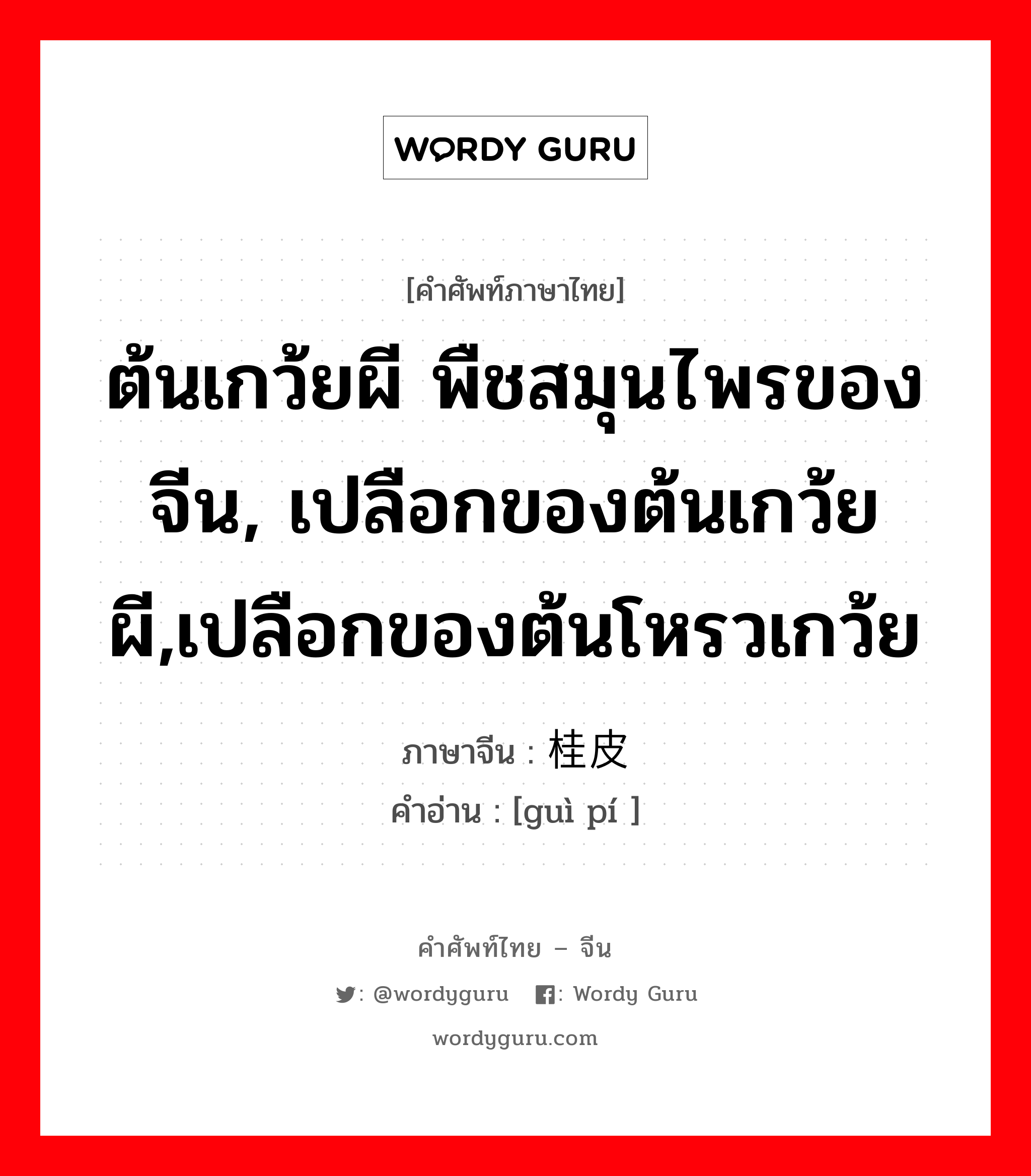 ต้นเกว้ยผี พืชสมุนไพรของจีน, เปลือกของต้นเกว้ยผี,เปลือกของต้นโหรวเกว้ย ภาษาจีนคืออะไร, คำศัพท์ภาษาไทย - จีน ต้นเกว้ยผี พืชสมุนไพรของจีน, เปลือกของต้นเกว้ยผี,เปลือกของต้นโหรวเกว้ย ภาษาจีน 桂皮 คำอ่าน [guì pí ]