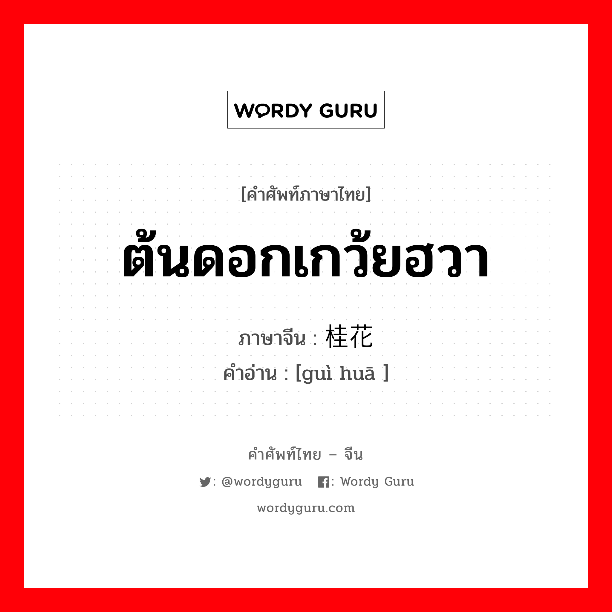 ต้นดอกเกว้ยฮวา ภาษาจีนคืออะไร, คำศัพท์ภาษาไทย - จีน ต้นดอกเกว้ยฮวา ภาษาจีน 桂花 คำอ่าน [guì huā ]