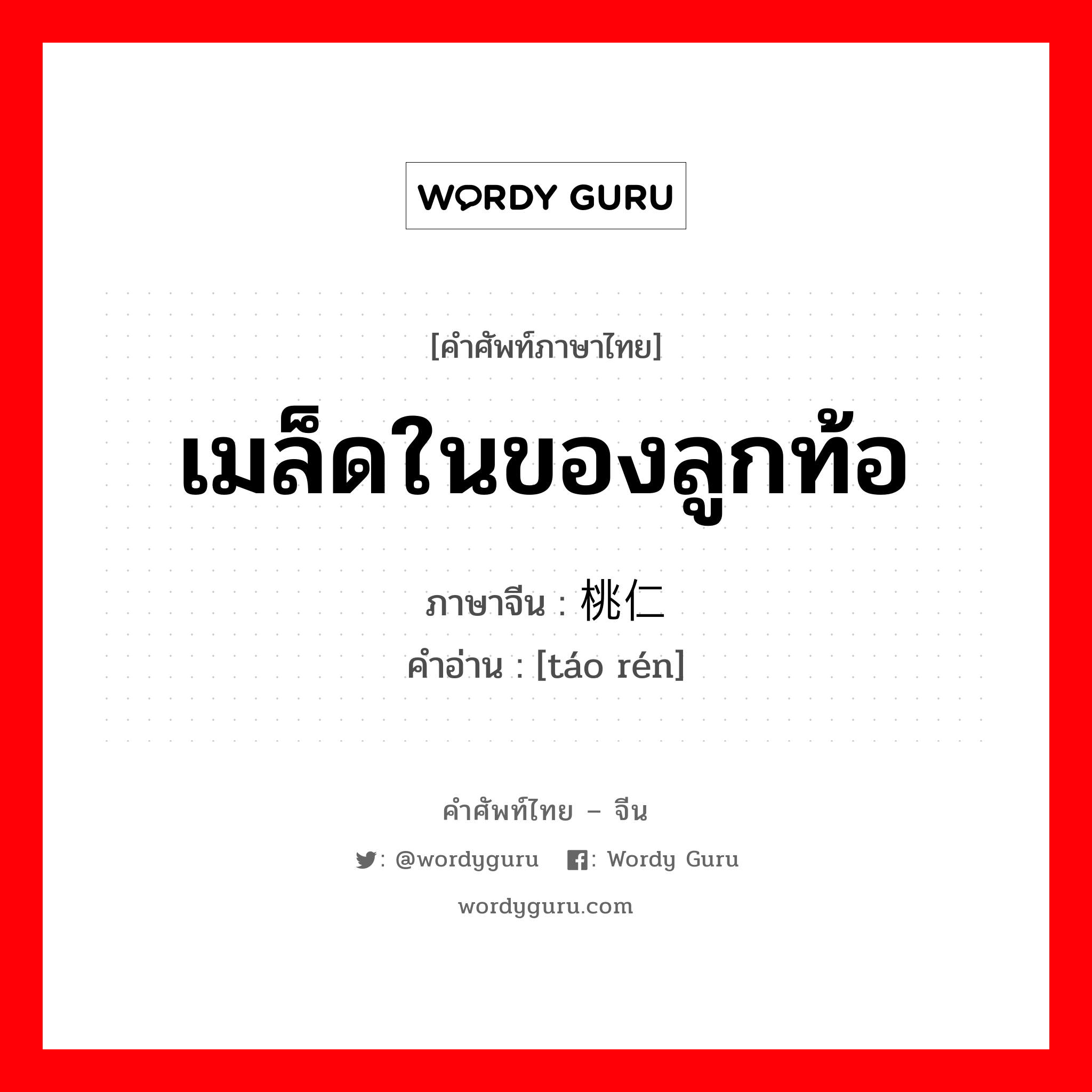 เมล็ดในของลูกท้อ ภาษาจีนคืออะไร, คำศัพท์ภาษาไทย - จีน เมล็ดในของลูกท้อ ภาษาจีน 桃仁 คำอ่าน [táo rén]