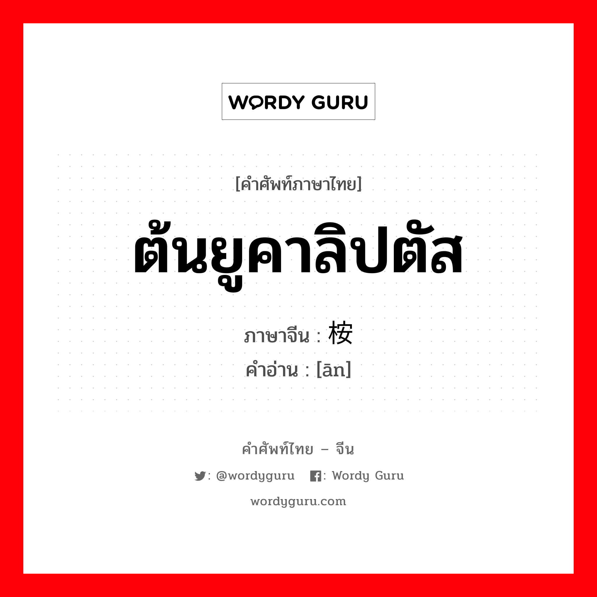 ต้นยูคาลิปตัส ภาษาจีนคืออะไร, คำศัพท์ภาษาไทย - จีน ต้นยูคาลิปตัส ภาษาจีน 桉 คำอ่าน [ān]