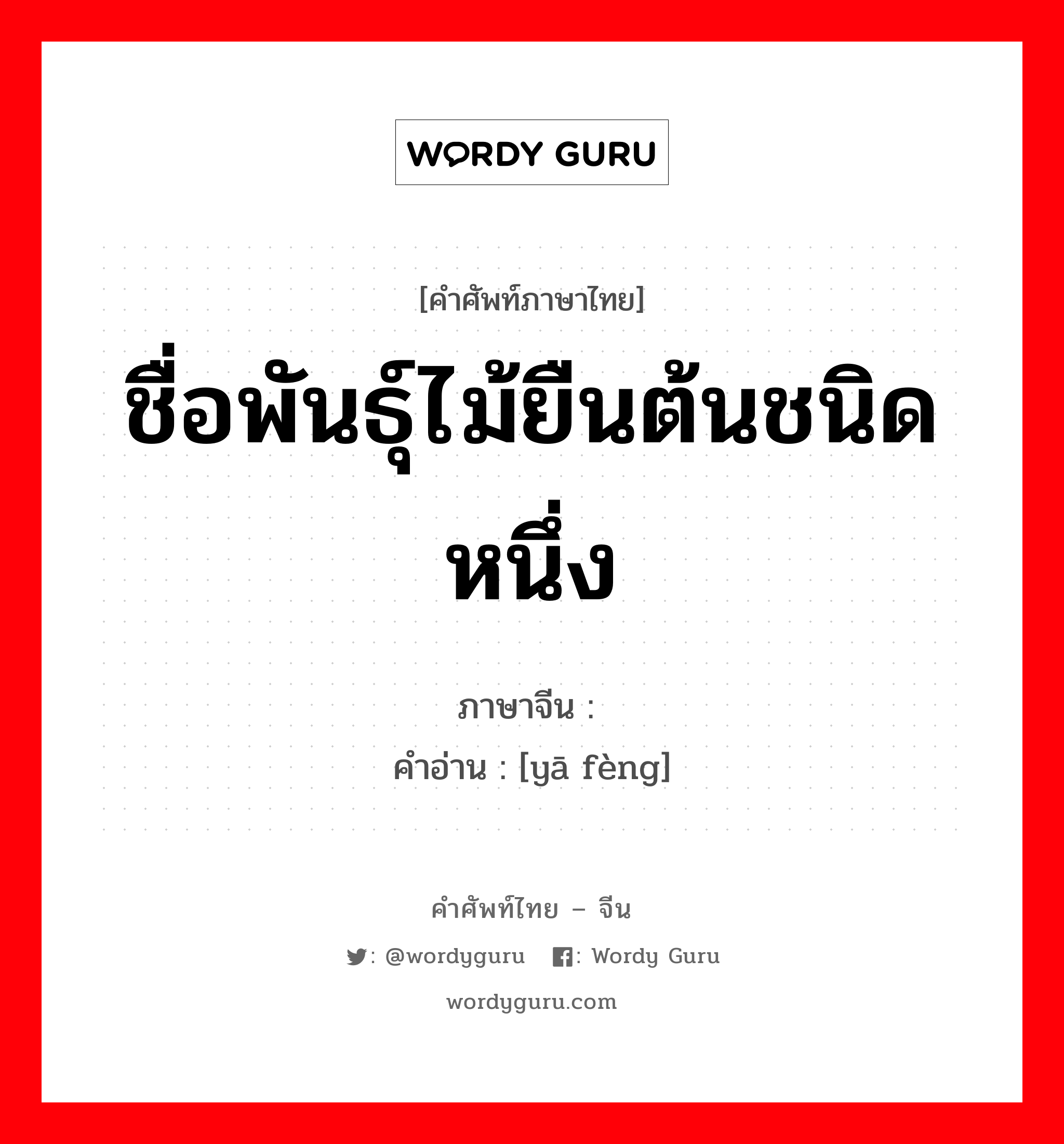 ชื่อพันธุ์ไม้ยืนต้นชนิดหนึ่ง ภาษาจีนคืออะไร, คำศัพท์ภาษาไทย - จีน ชื่อพันธุ์ไม้ยืนต้นชนิดหนึ่ง ภาษาจีน 桠枫 คำอ่าน [yā fèng]