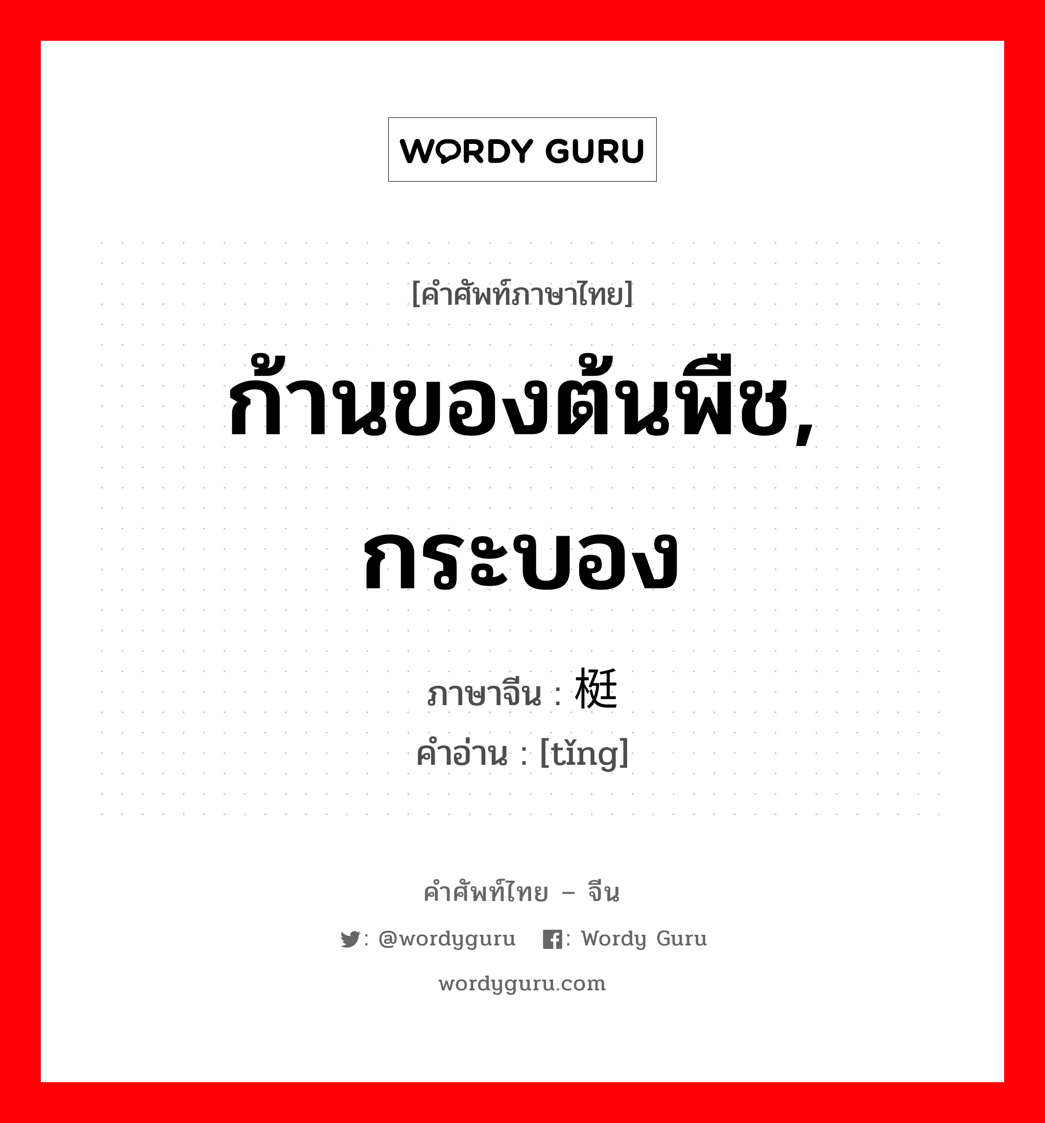 ก้านของต้นพืช, กระบอง ภาษาจีนคืออะไร, คำศัพท์ภาษาไทย - จีน ก้านของต้นพืช, กระบอง ภาษาจีน 梃 คำอ่าน [tǐng]