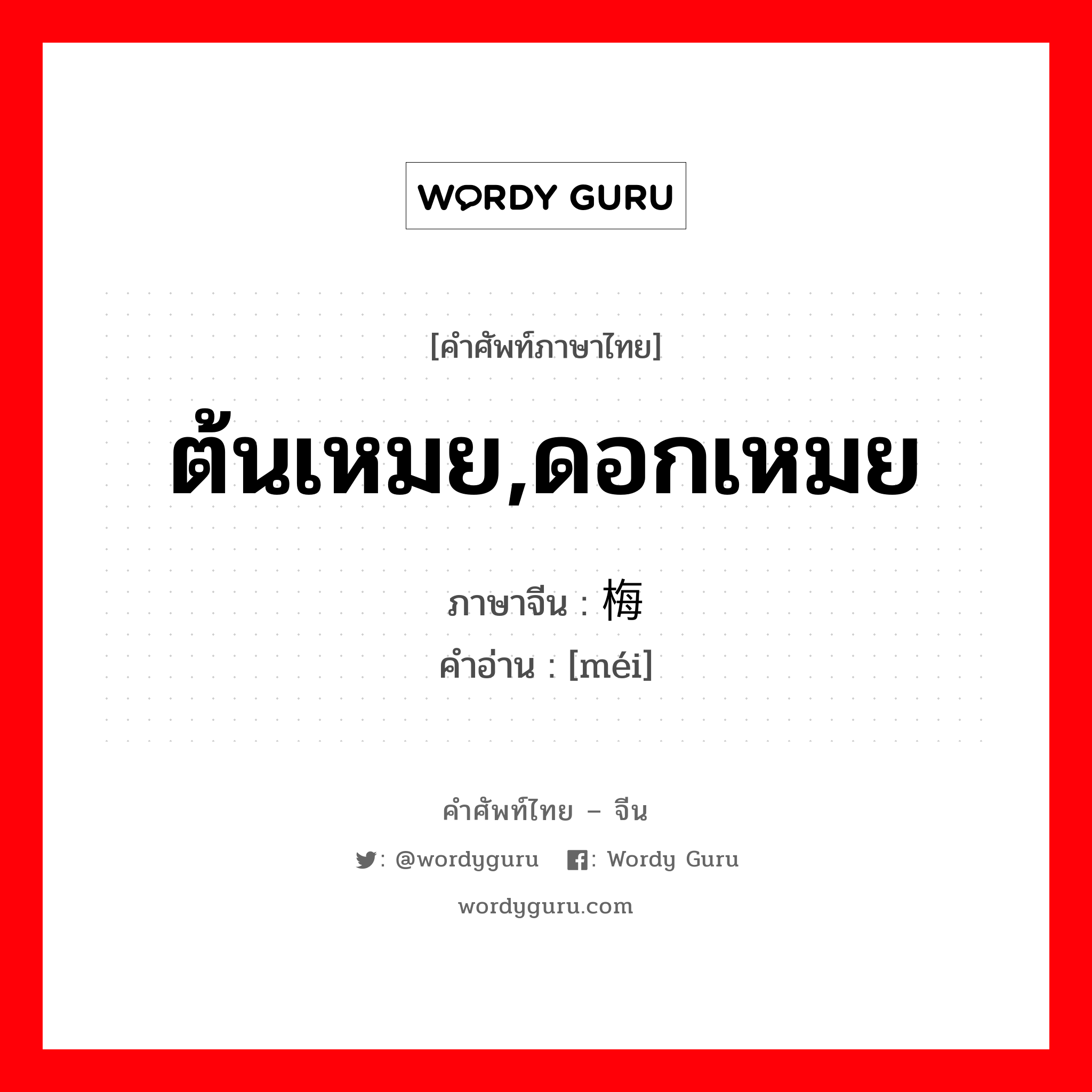 ต้นเหมย,ดอกเหมย ภาษาจีนคืออะไร, คำศัพท์ภาษาไทย - จีน ต้นเหมย,ดอกเหมย ภาษาจีน 梅 คำอ่าน [méi]