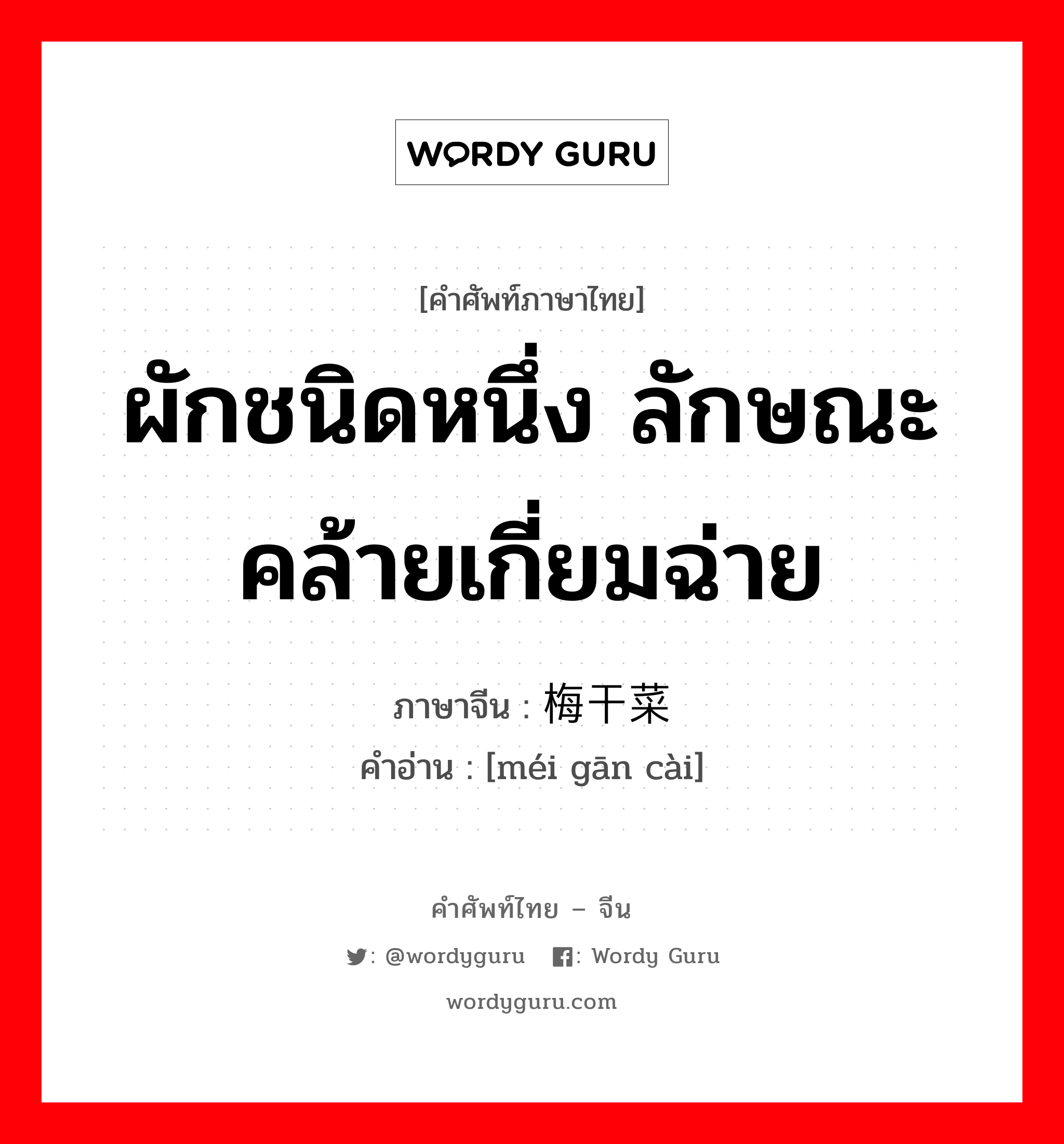 ผักชนิดหนึ่ง ลักษณะคล้ายเกี่ยมฉ่าย ภาษาจีนคืออะไร, คำศัพท์ภาษาไทย - จีน ผักชนิดหนึ่ง ลักษณะคล้ายเกี่ยมฉ่าย ภาษาจีน 梅干菜 คำอ่าน [méi gān cài]