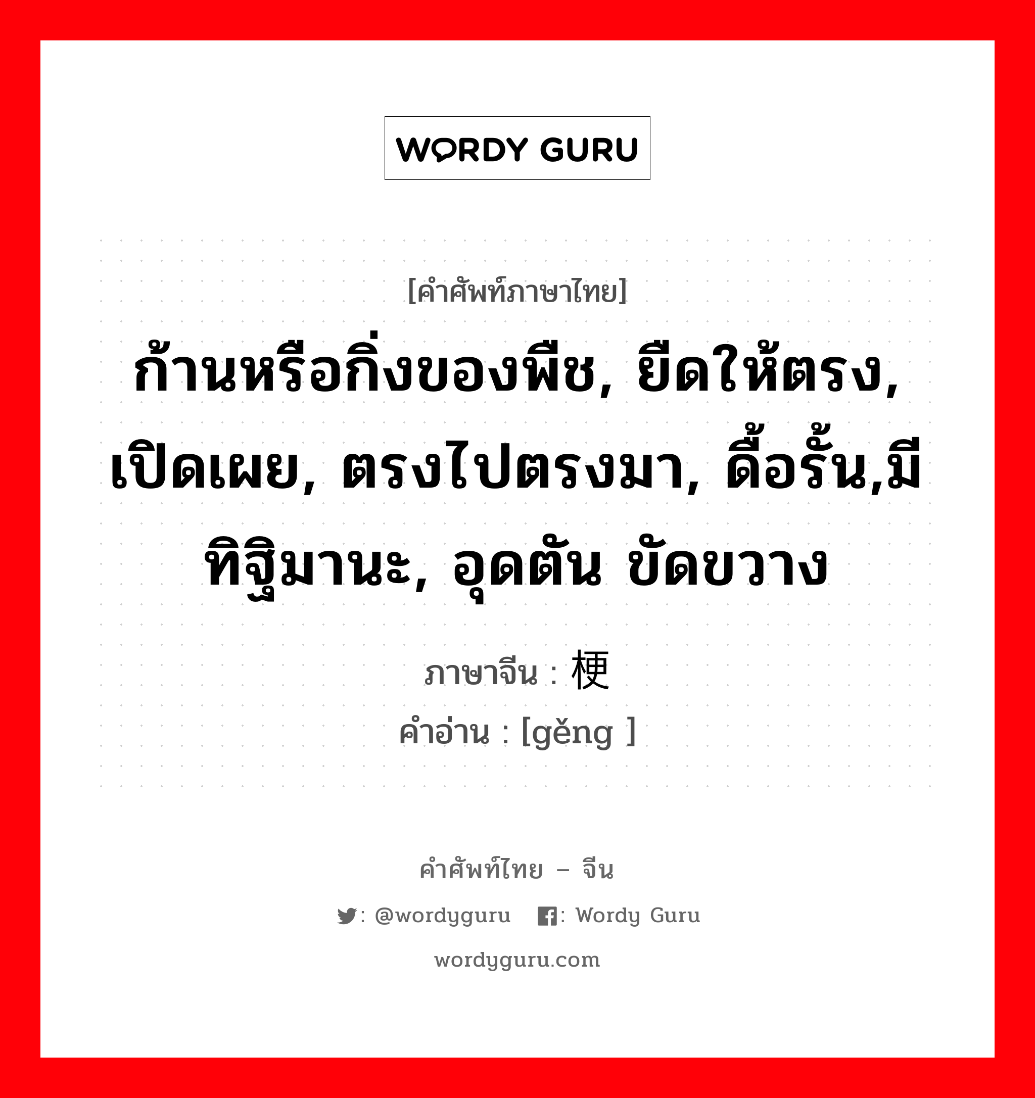 ก้านหรือกิ่งของพืช, ยืดให้ตรง, เปิดเผย, ตรงไปตรงมา, ดื้อรั้น,มีทิฐิมานะ, อุดตัน ขัดขวาง ภาษาจีนคืออะไร, คำศัพท์ภาษาไทย - จีน ก้านหรือกิ่งของพืช, ยืดให้ตรง, เปิดเผย, ตรงไปตรงมา, ดื้อรั้น,มีทิฐิมานะ, อุดตัน ขัดขวาง ภาษาจีน 梗 คำอ่าน [gěng ]