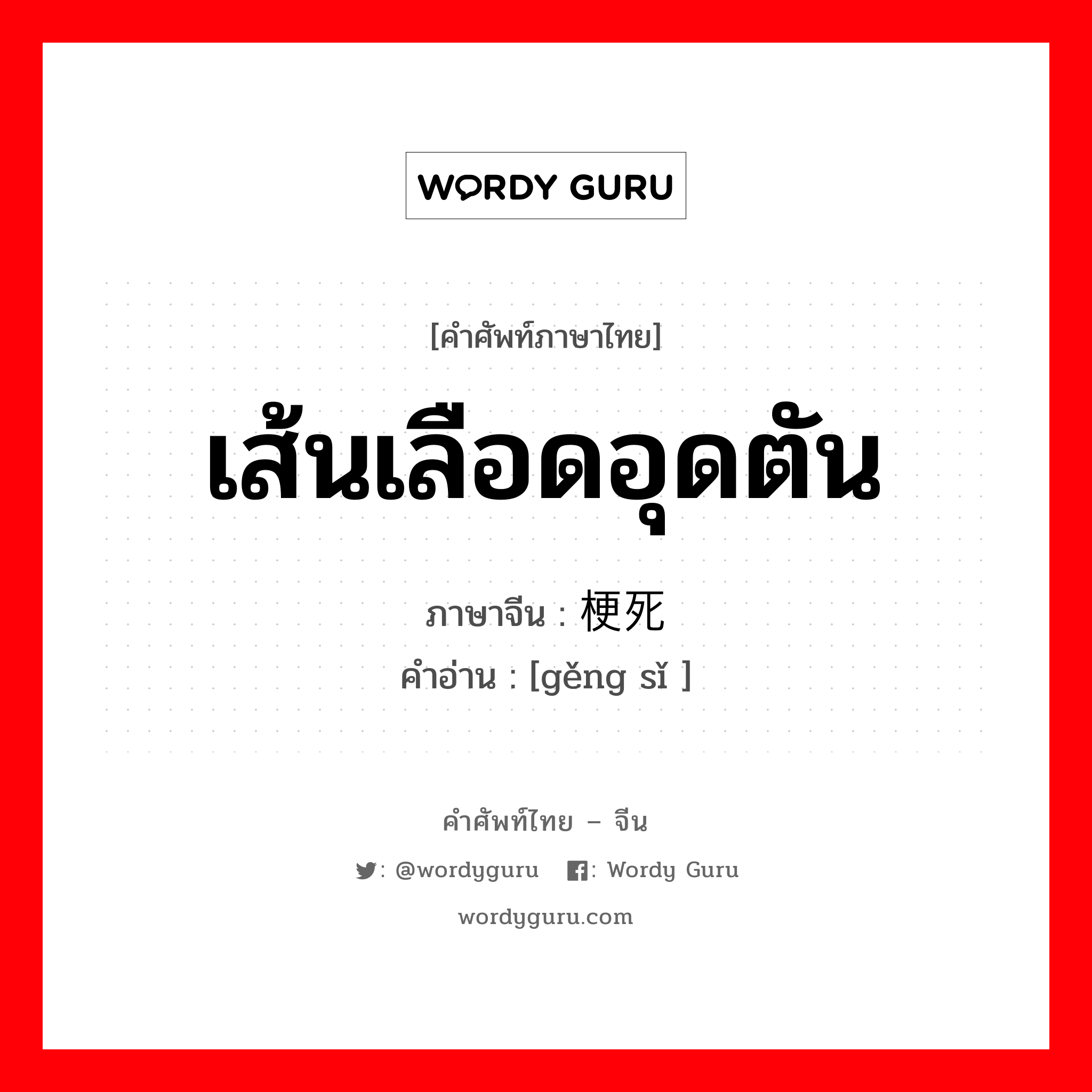 เส้นเลือดอุดตัน ภาษาจีนคืออะไร, คำศัพท์ภาษาไทย - จีน เส้นเลือดอุดตัน ภาษาจีน 梗死 คำอ่าน [gěng sǐ ]