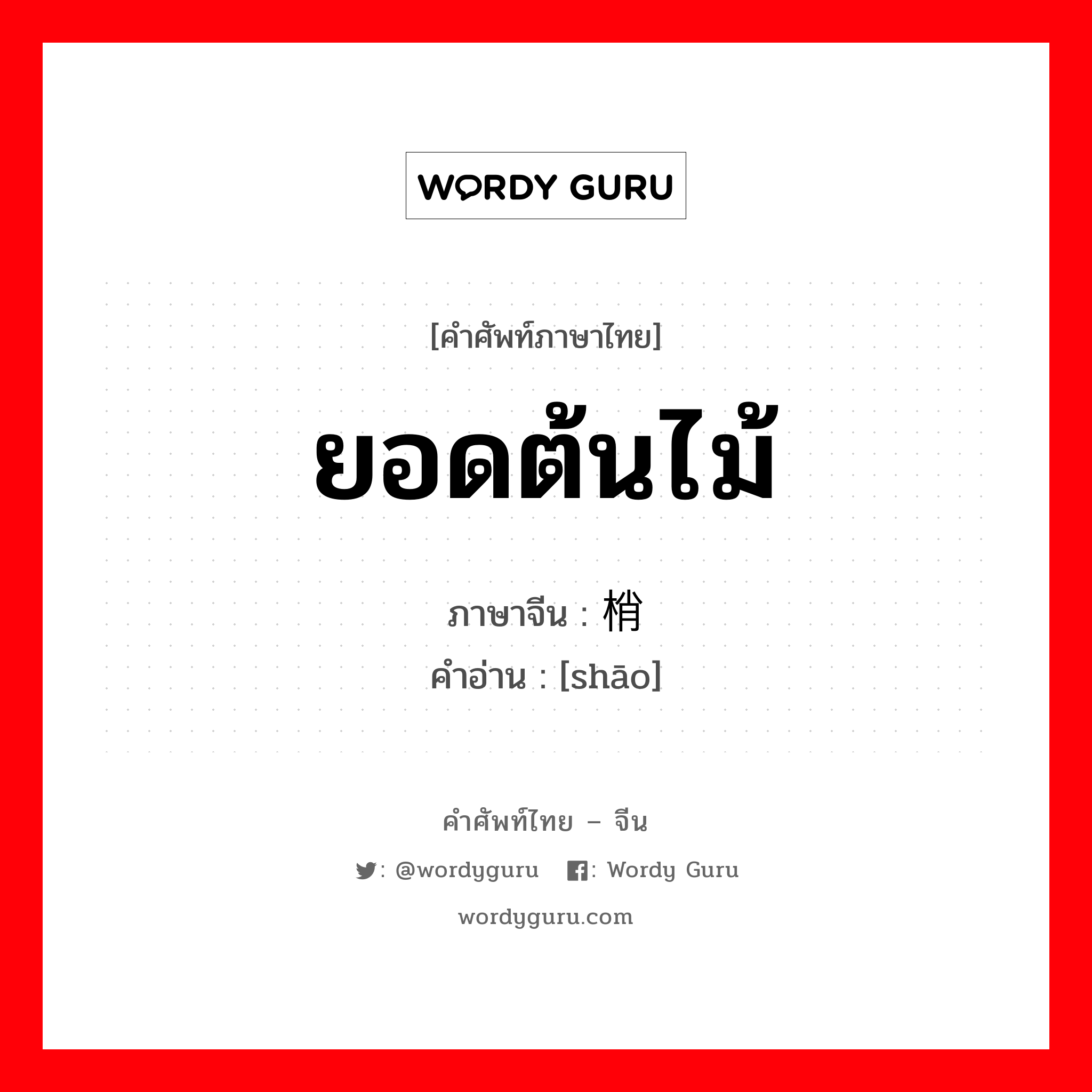 ยอดต้นไม้ ภาษาจีนคืออะไร, คำศัพท์ภาษาไทย - จีน ยอดต้นไม้ ภาษาจีน 梢 คำอ่าน [shāo]