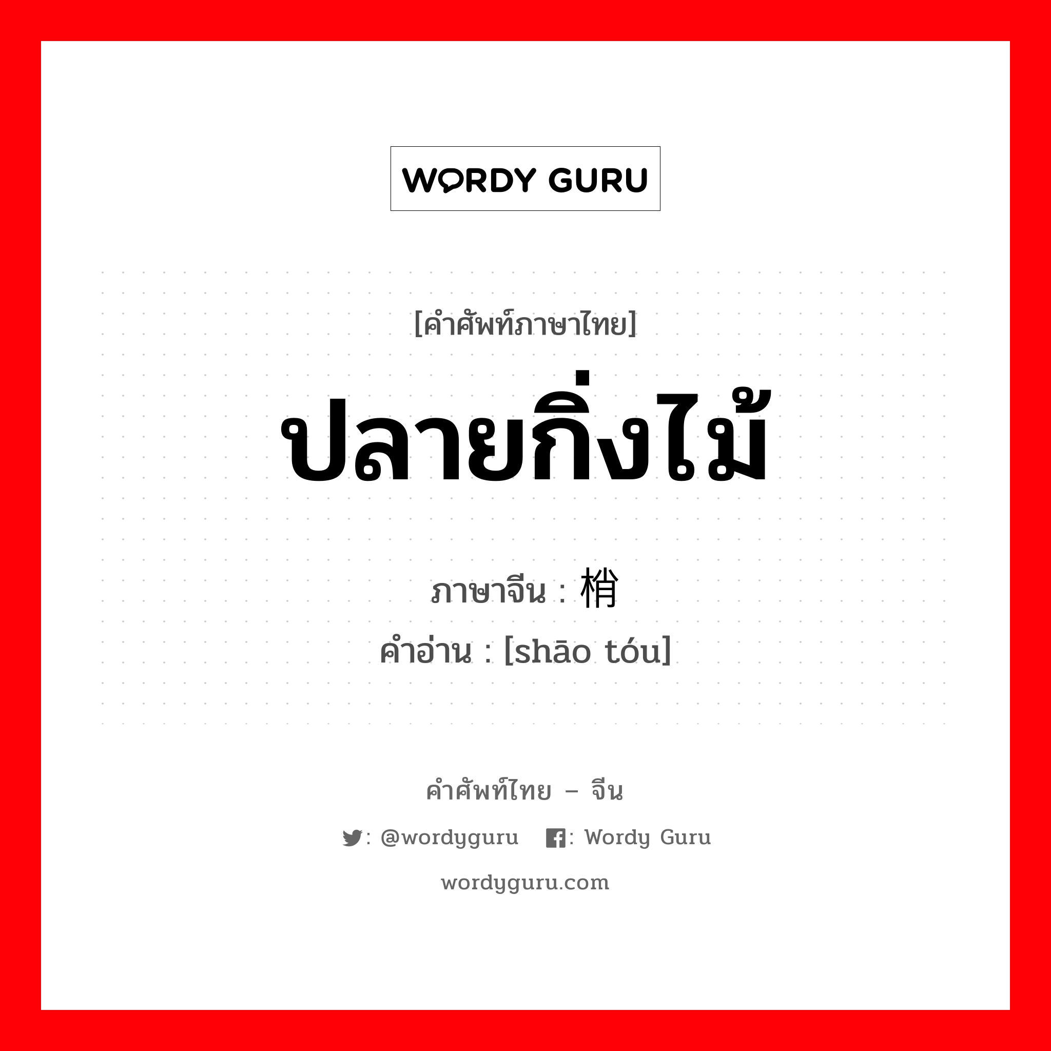 ปลายกิ่งไม้ ภาษาจีนคืออะไร, คำศัพท์ภาษาไทย - จีน ปลายกิ่งไม้ ภาษาจีน 梢头 คำอ่าน [shāo tóu]