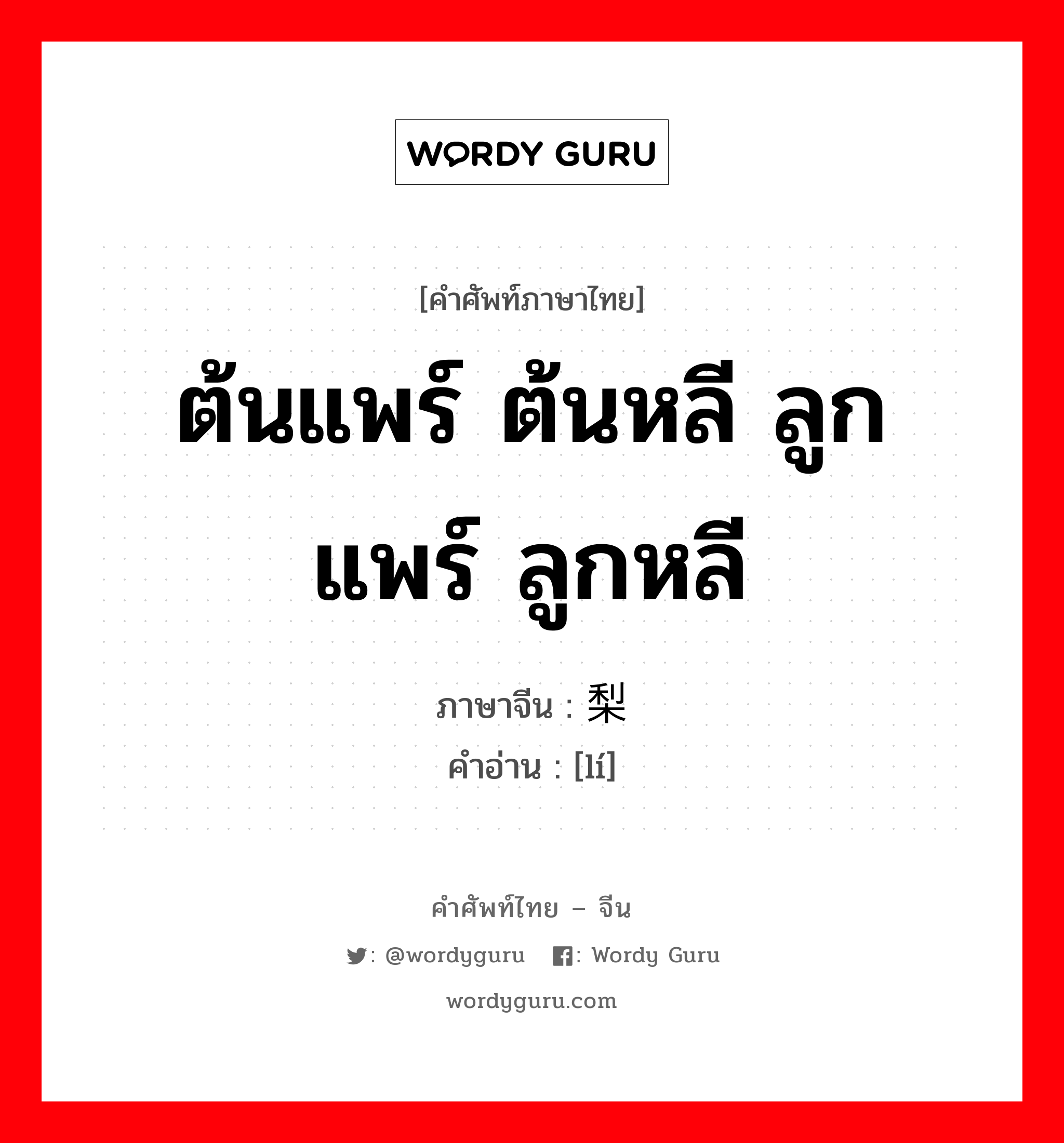 ต้นแพร์ ต้นหลี ลูกแพร์ ลูกหลี ภาษาจีนคืออะไร, คำศัพท์ภาษาไทย - จีน ต้นแพร์ ต้นหลี ลูกแพร์ ลูกหลี ภาษาจีน 梨 คำอ่าน [lí]