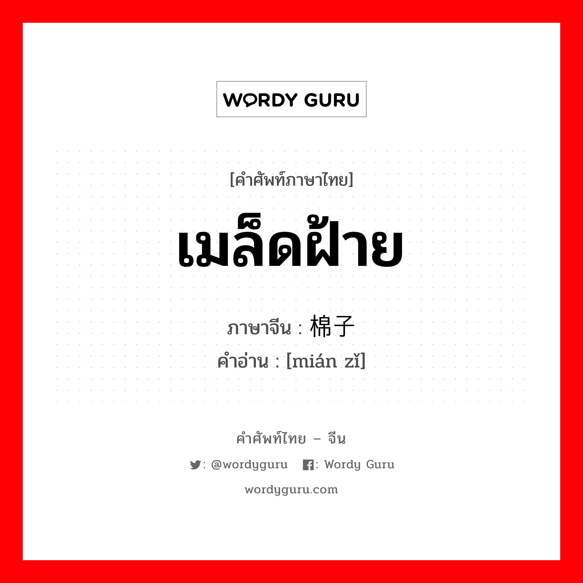 เมล็ดฝ้าย ภาษาจีนคืออะไร, คำศัพท์ภาษาไทย - จีน เมล็ดฝ้าย ภาษาจีน 棉子 คำอ่าน [mián zǐ]