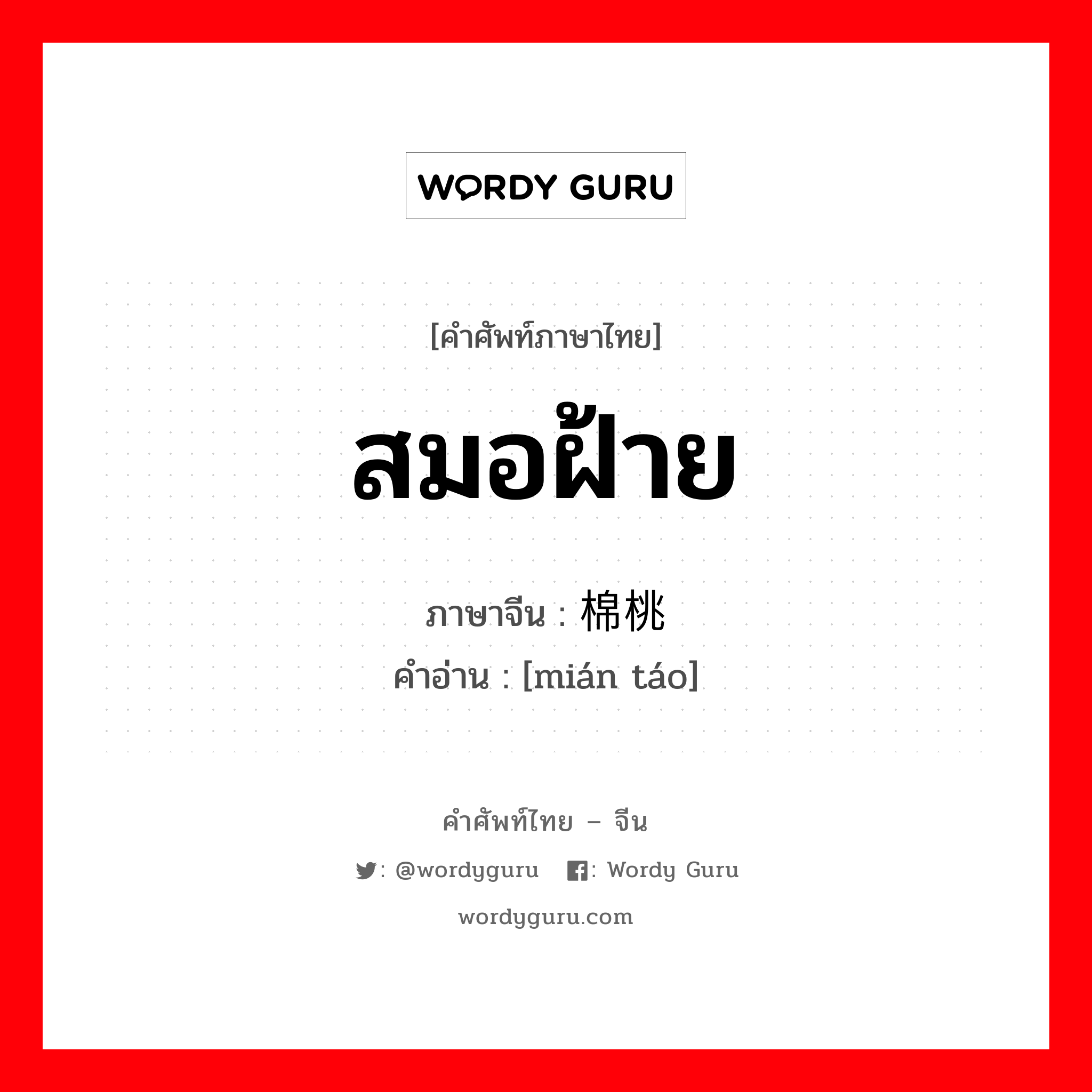 สมอฝ้าย ภาษาจีนคืออะไร, คำศัพท์ภาษาไทย - จีน สมอฝ้าย ภาษาจีน 棉桃 คำอ่าน [mián táo]