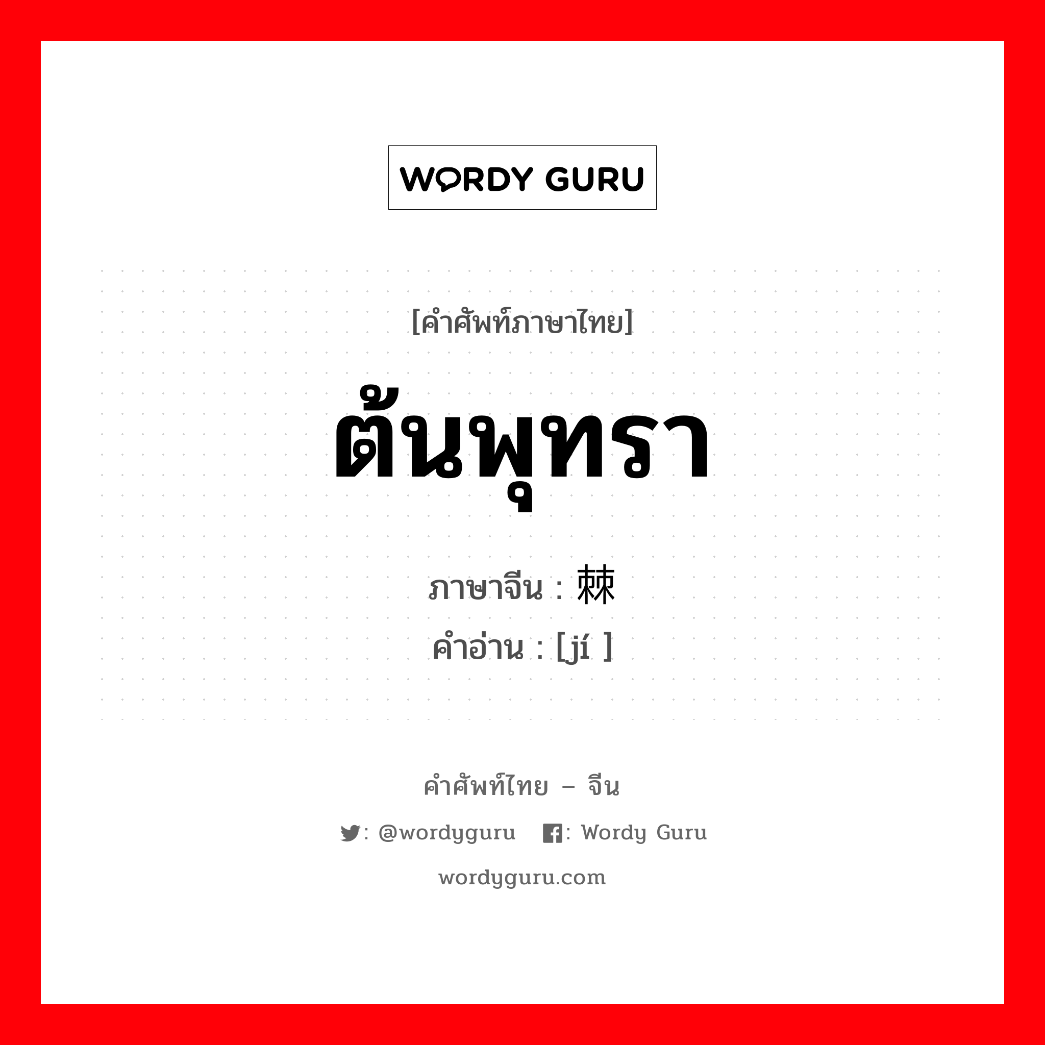 ต้นพุทรา ภาษาจีนคืออะไร, คำศัพท์ภาษาไทย - จีน ต้นพุทรา ภาษาจีน 棘 คำอ่าน [jí ]