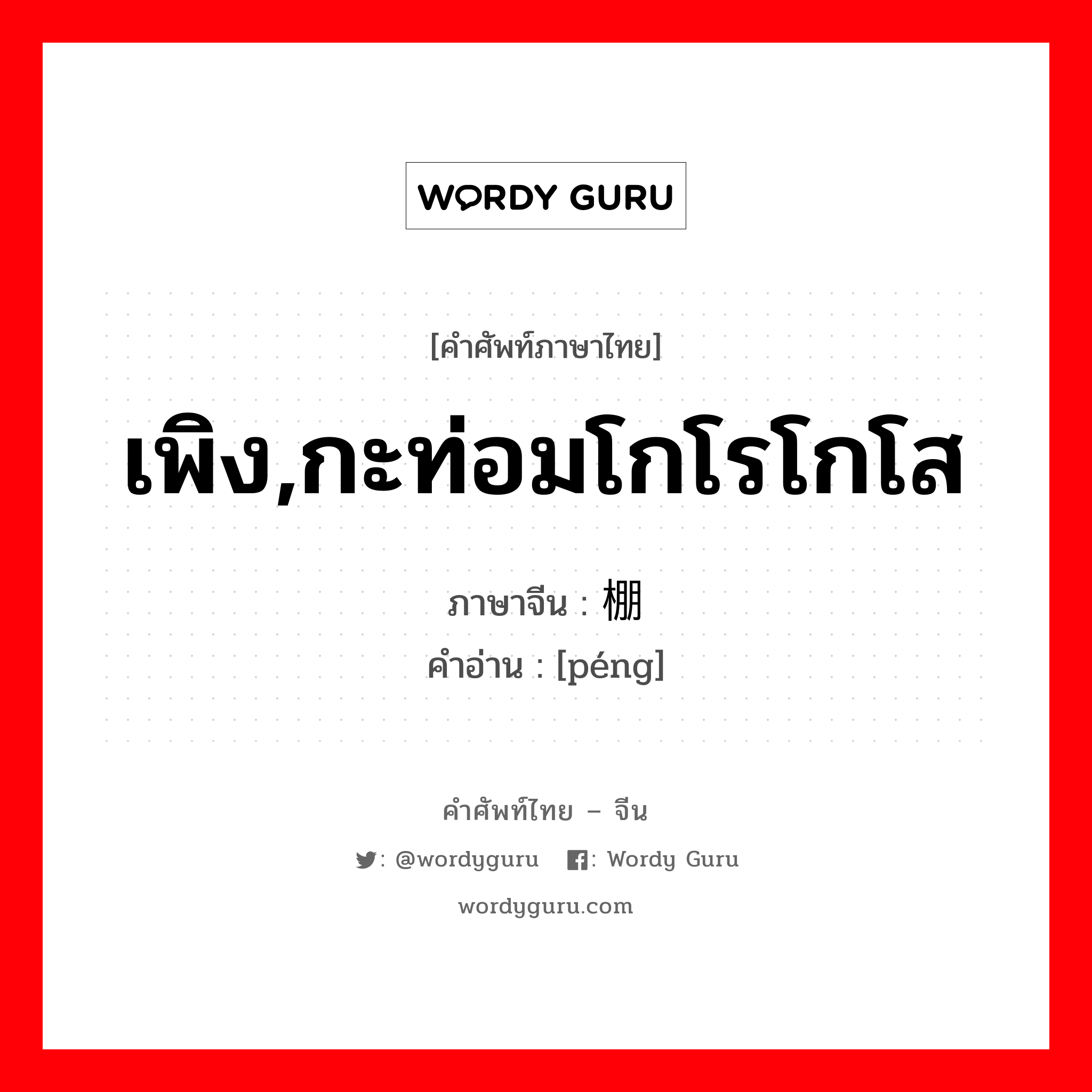 เพิง,กะท่อมโกโรโกโส ภาษาจีนคืออะไร, คำศัพท์ภาษาไทย - จีน เพิง,กะท่อมโกโรโกโส ภาษาจีน 棚 คำอ่าน [péng]