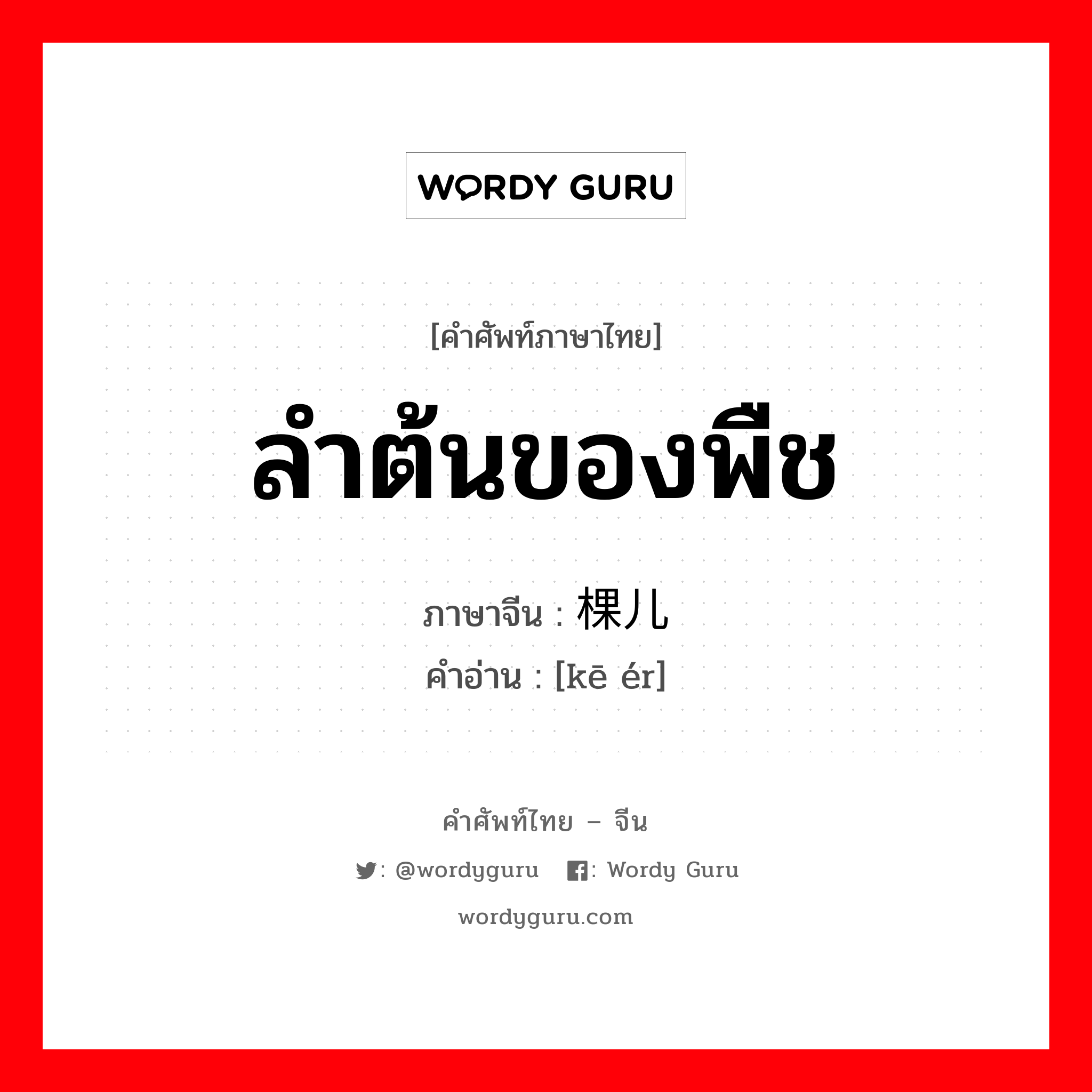 ลำต้นของพืช ภาษาจีนคืออะไร, คำศัพท์ภาษาไทย - จีน ลำต้นของพืช ภาษาจีน 棵儿 คำอ่าน [kē ér]