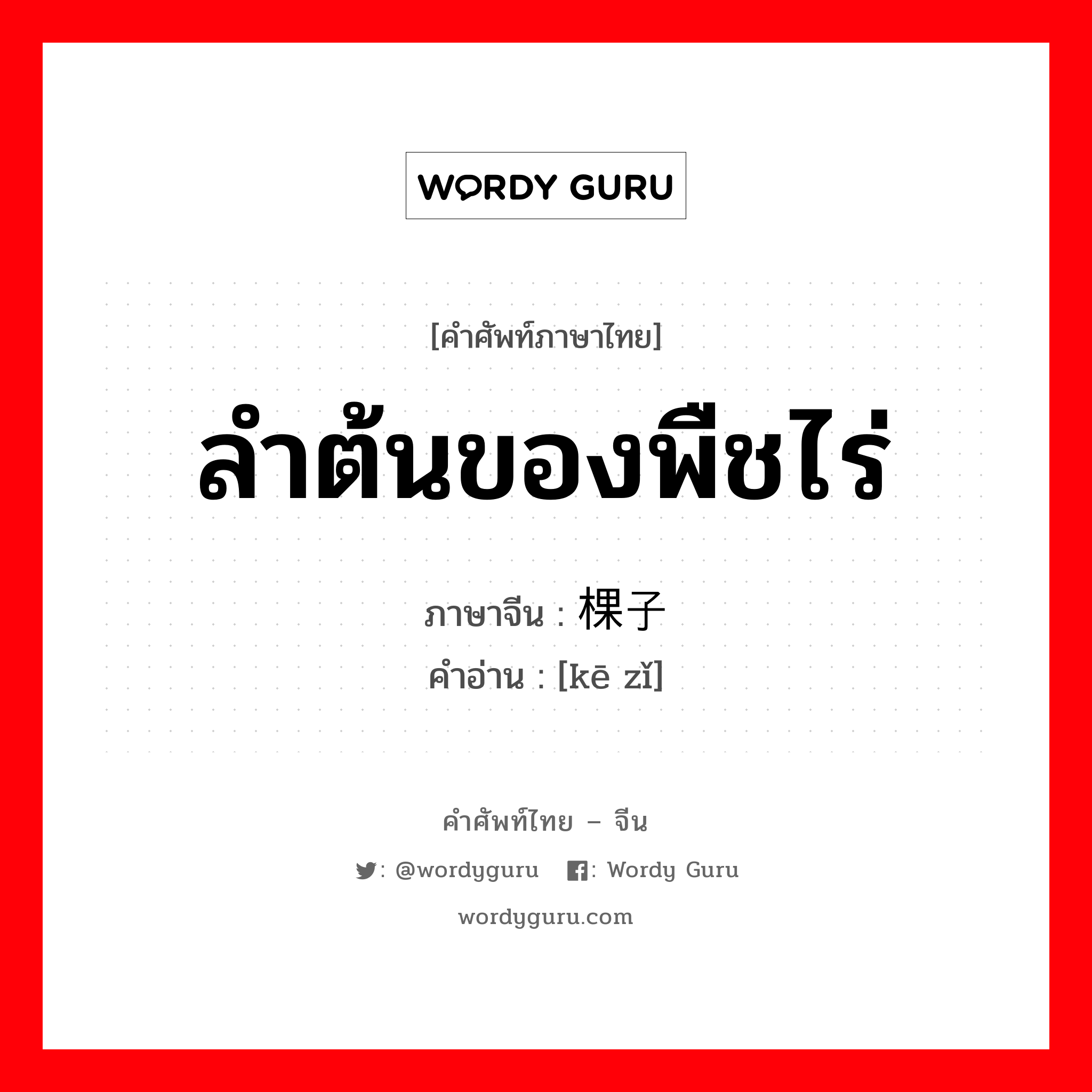 ลำต้นของพืชไร่ ภาษาจีนคืออะไร, คำศัพท์ภาษาไทย - จีน ลำต้นของพืชไร่ ภาษาจีน 棵子 คำอ่าน [kē zǐ]