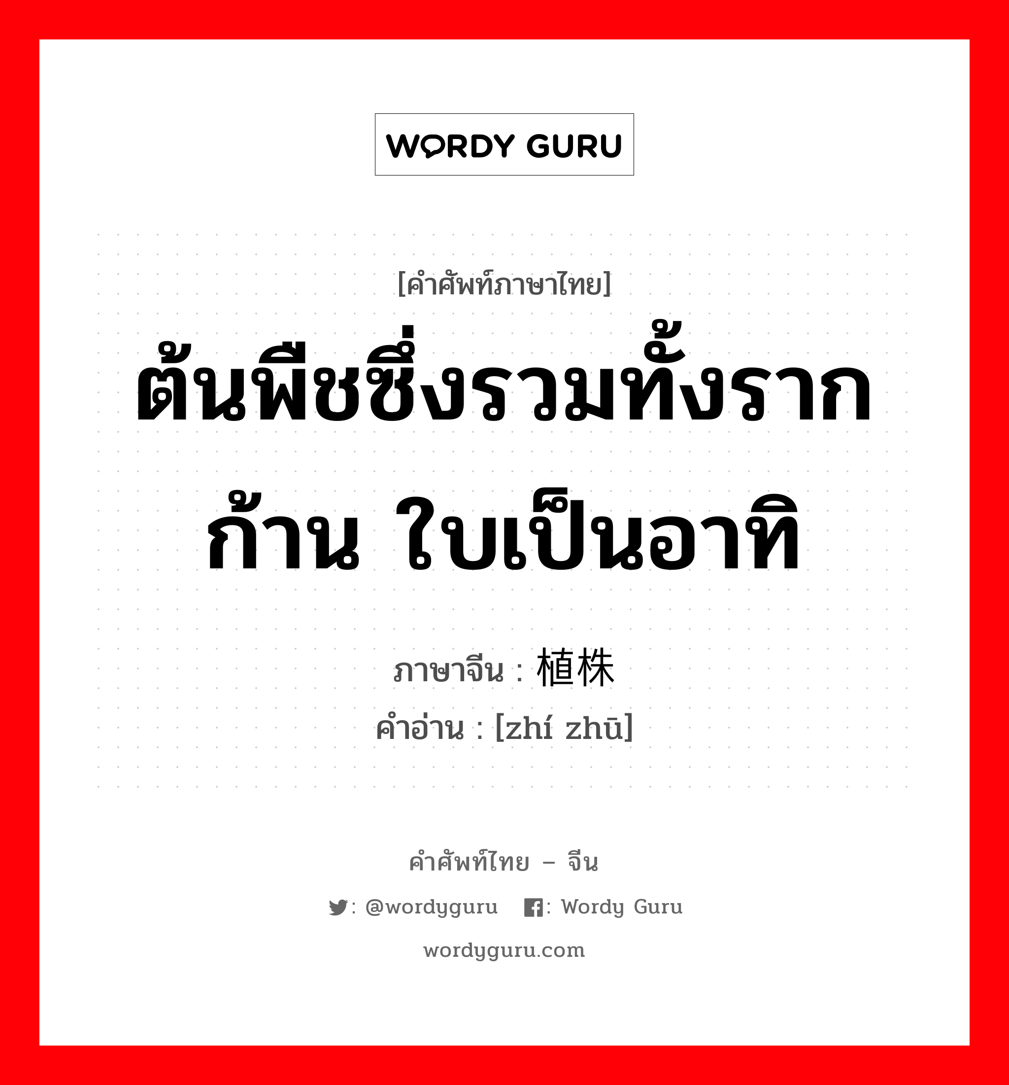 ต้นพืชซึ่งรวมทั้งราก ก้าน ใบเป็นอาทิ ภาษาจีนคืออะไร, คำศัพท์ภาษาไทย - จีน ต้นพืชซึ่งรวมทั้งราก ก้าน ใบเป็นอาทิ ภาษาจีน 植株 คำอ่าน [zhí zhū]