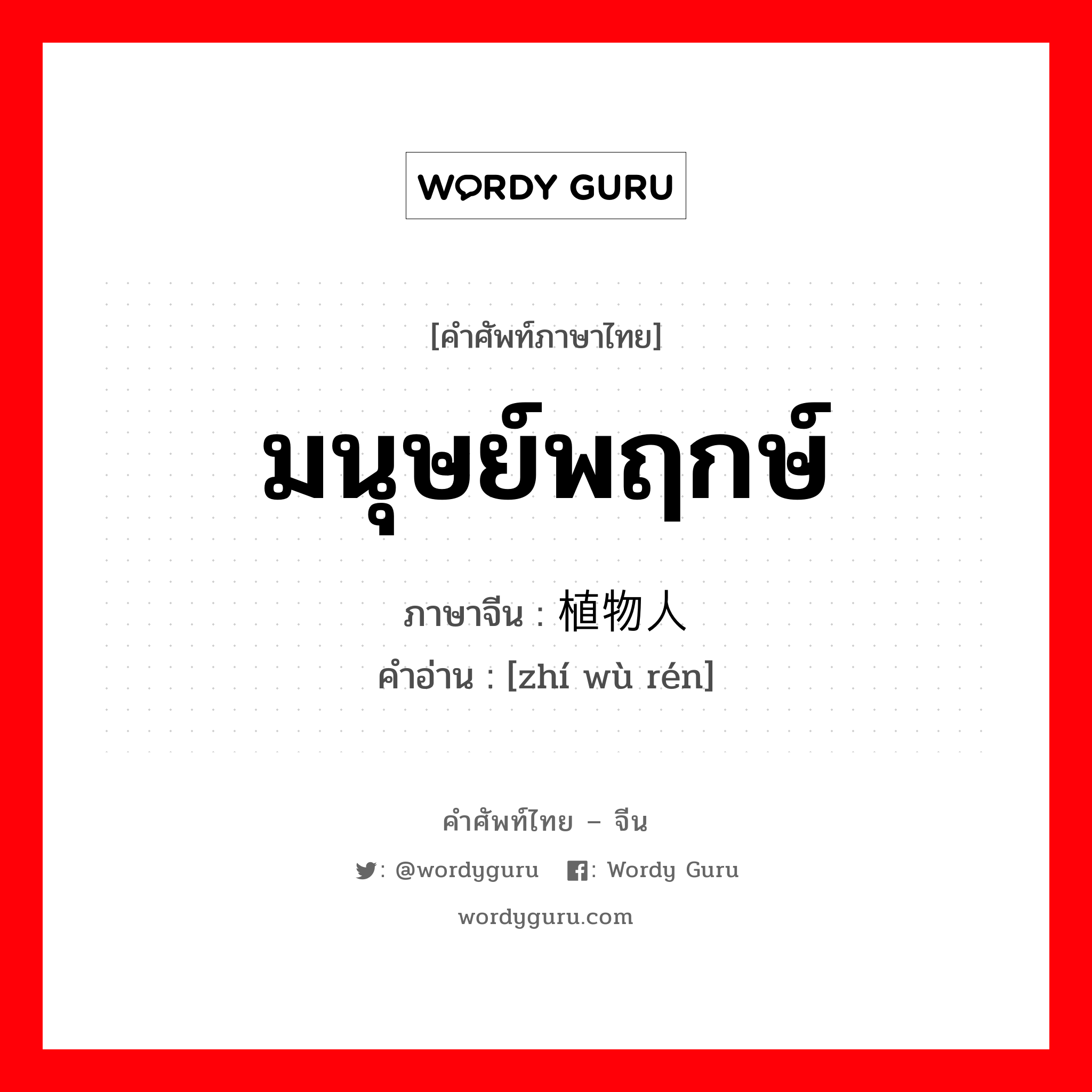 มนุษย์พฤกษ์ ภาษาจีนคืออะไร, คำศัพท์ภาษาไทย - จีน มนุษย์พฤกษ์ ภาษาจีน 植物人 คำอ่าน [zhí wù rén]