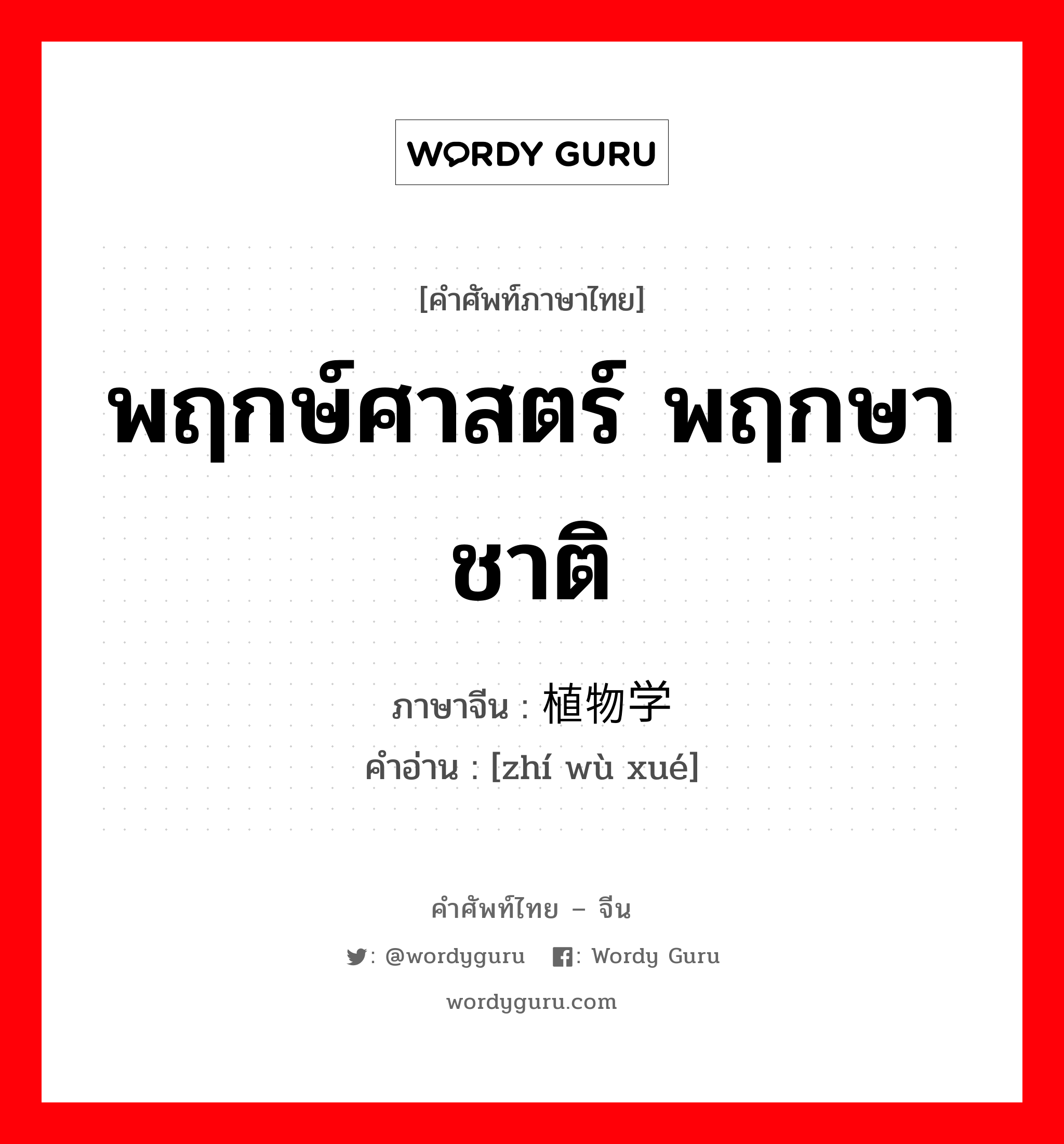 พฤกษ์ศาสตร์ พฤกษาชาติ ภาษาจีนคืออะไร, คำศัพท์ภาษาไทย - จีน พฤกษ์ศาสตร์ พฤกษาชาติ ภาษาจีน 植物学 คำอ่าน [zhí wù xué]